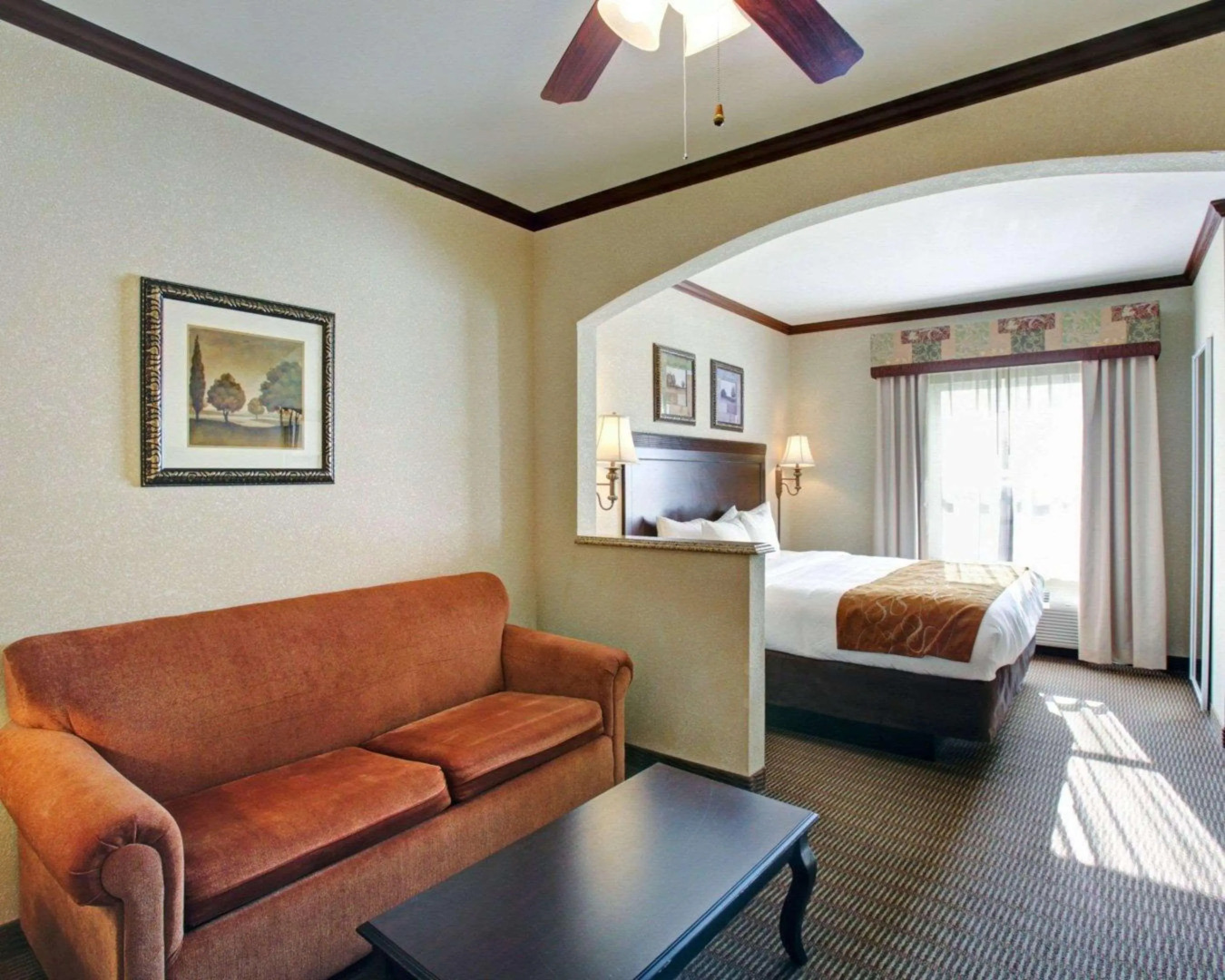 Comfort Suites University Drive