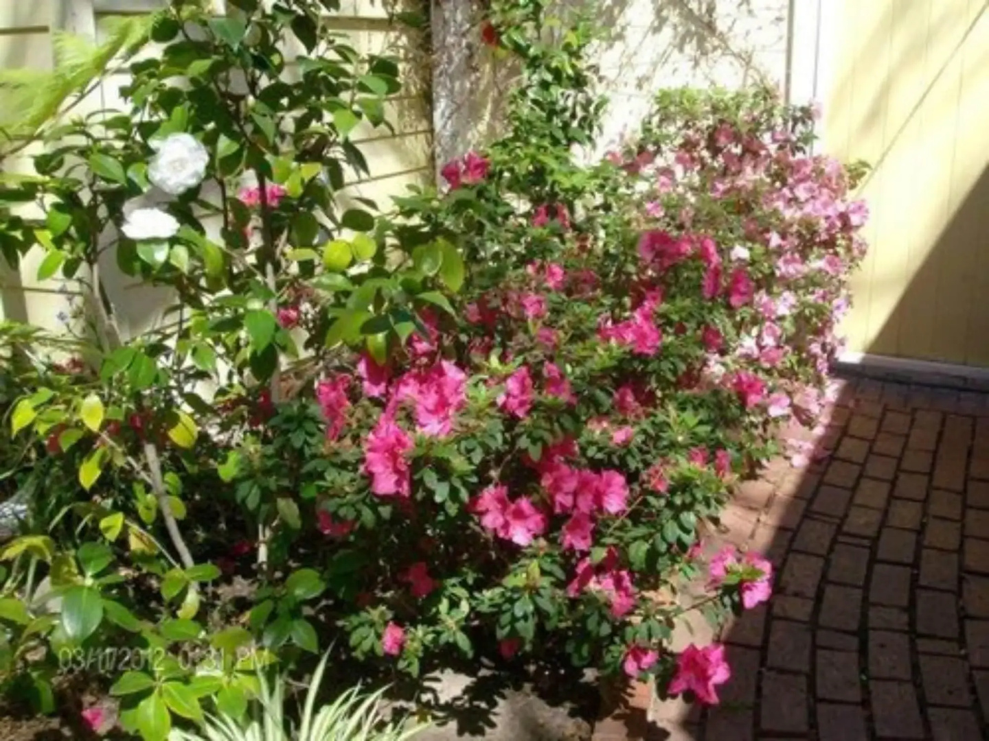 Secret Garden Inn and Cottages