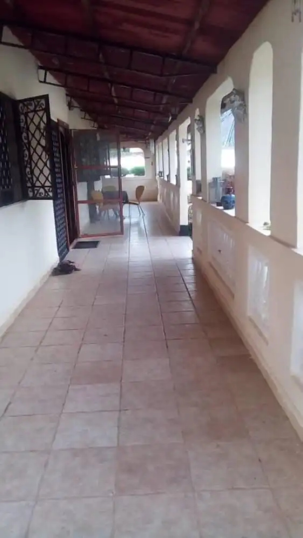 Bahamas Guest