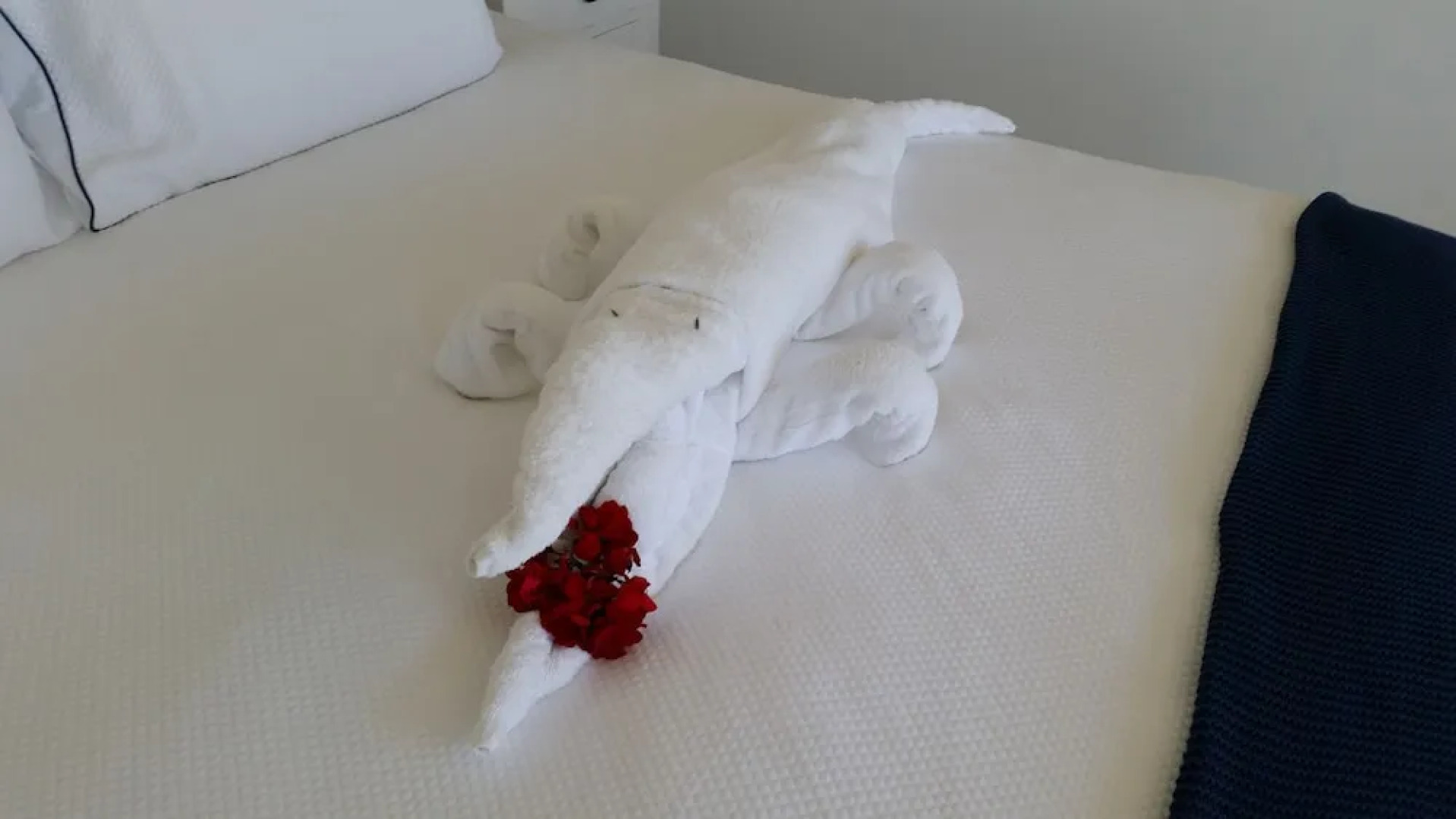 The Ultimate Ocean View - A Luxury Home