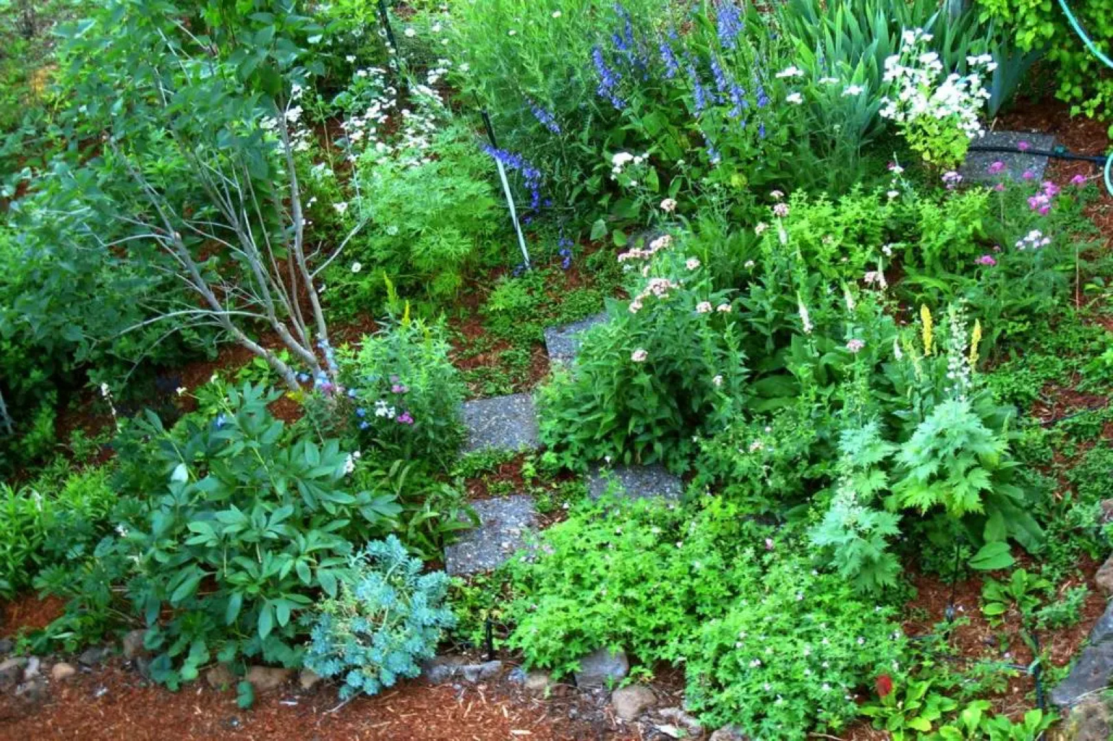 Fir Mountain Escape 4 Bedroom Home by RedAwning