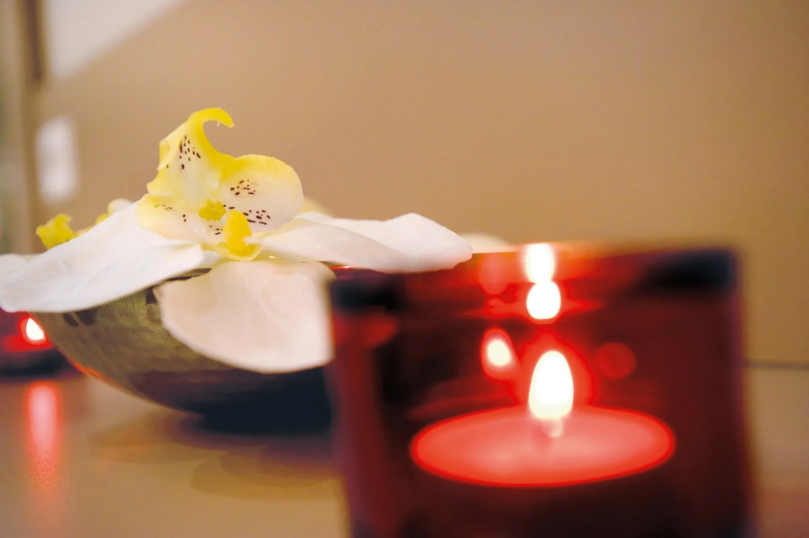 Résidence Premium & Spa Houlgate - Pierre & Vacances