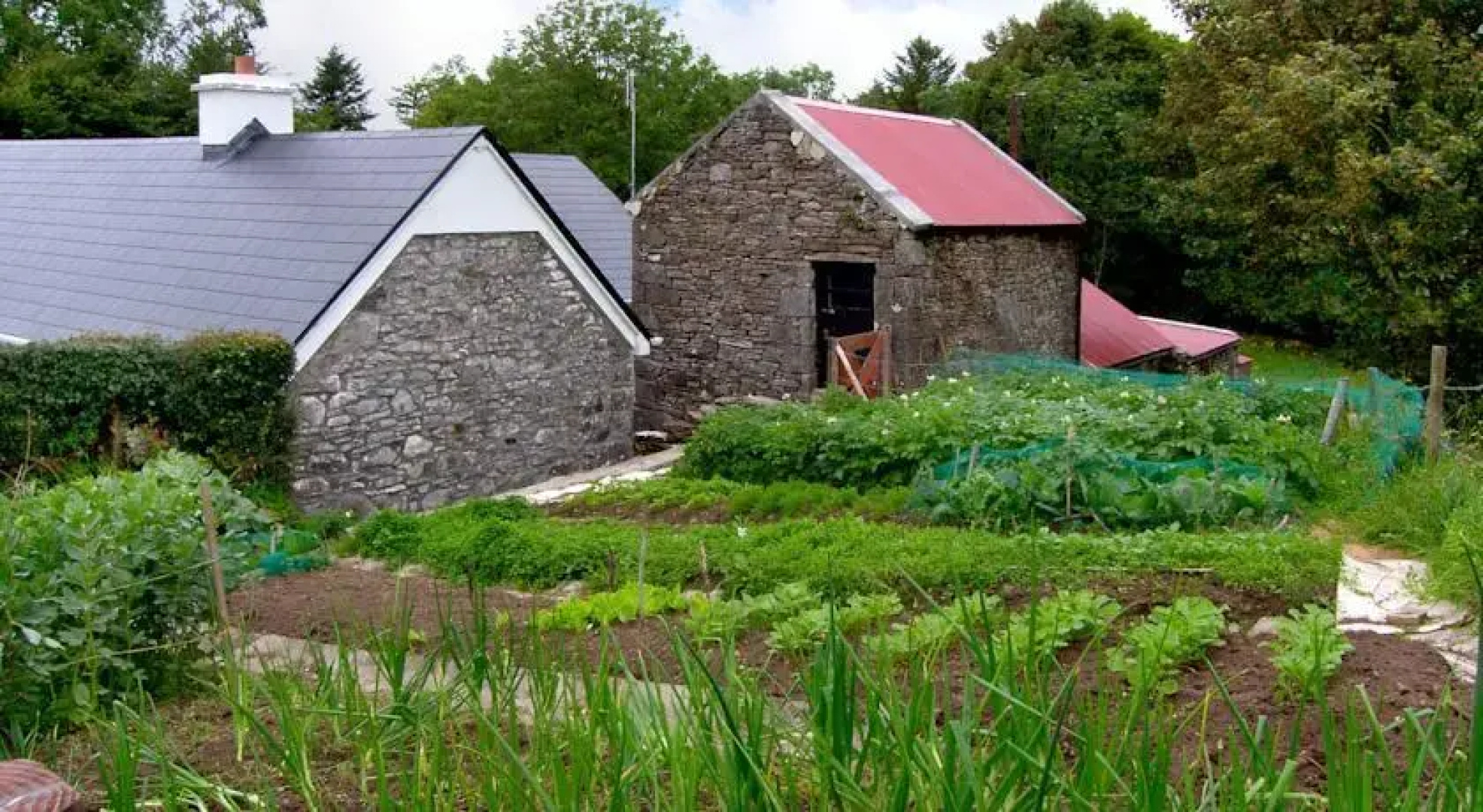 Kiltimagh Cottage