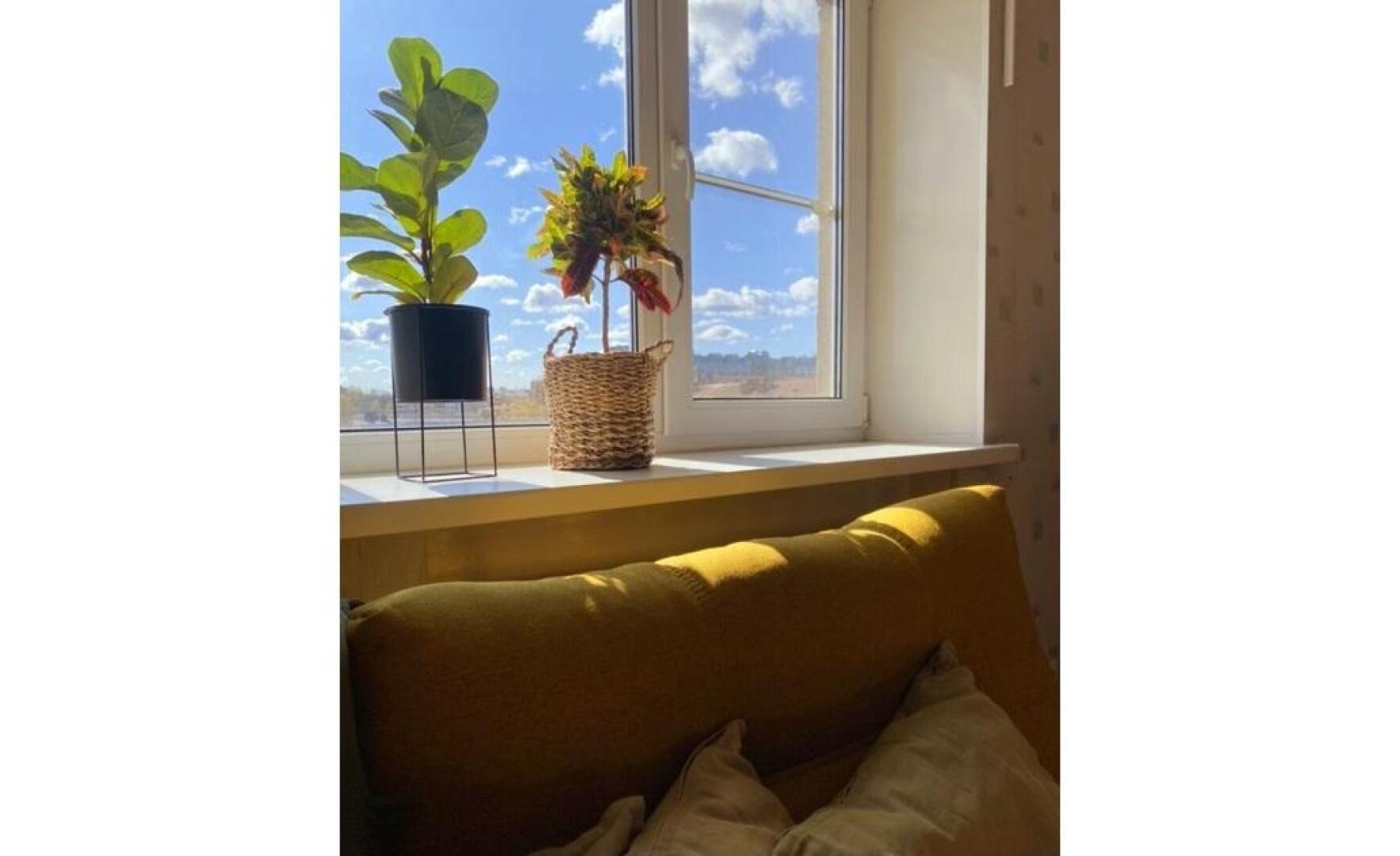 Суточно Выборг на проспекте Суворова