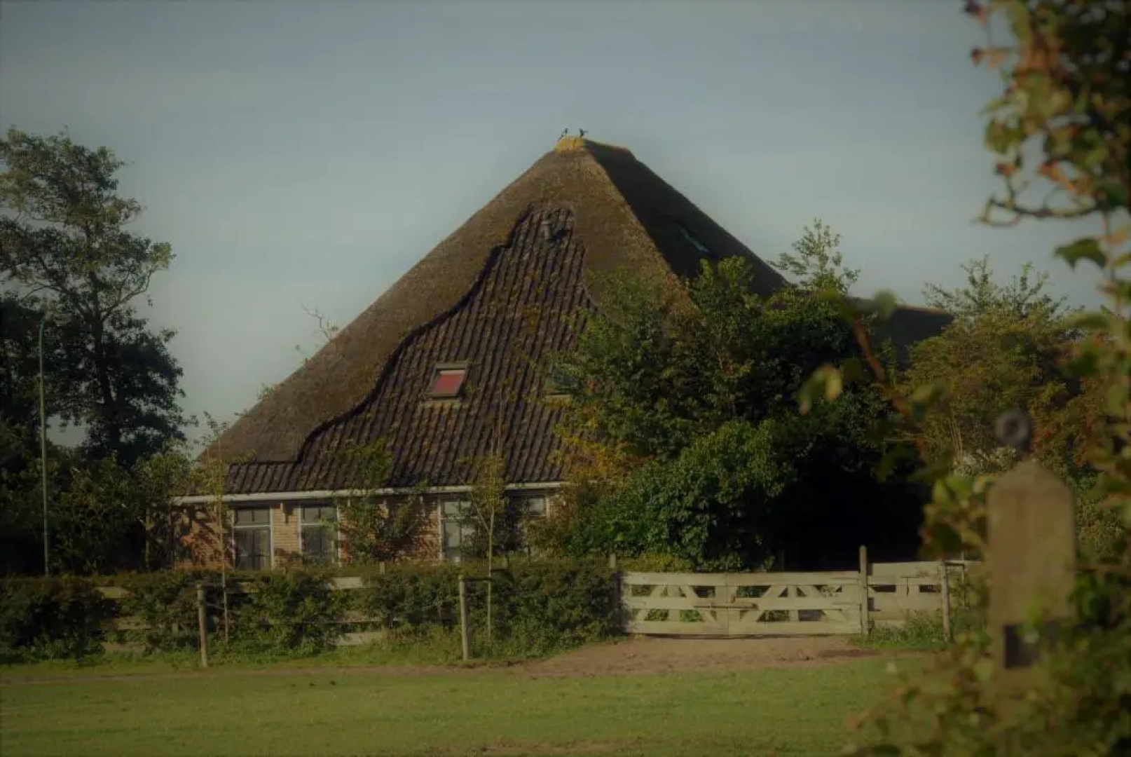 Sterrenhoeve