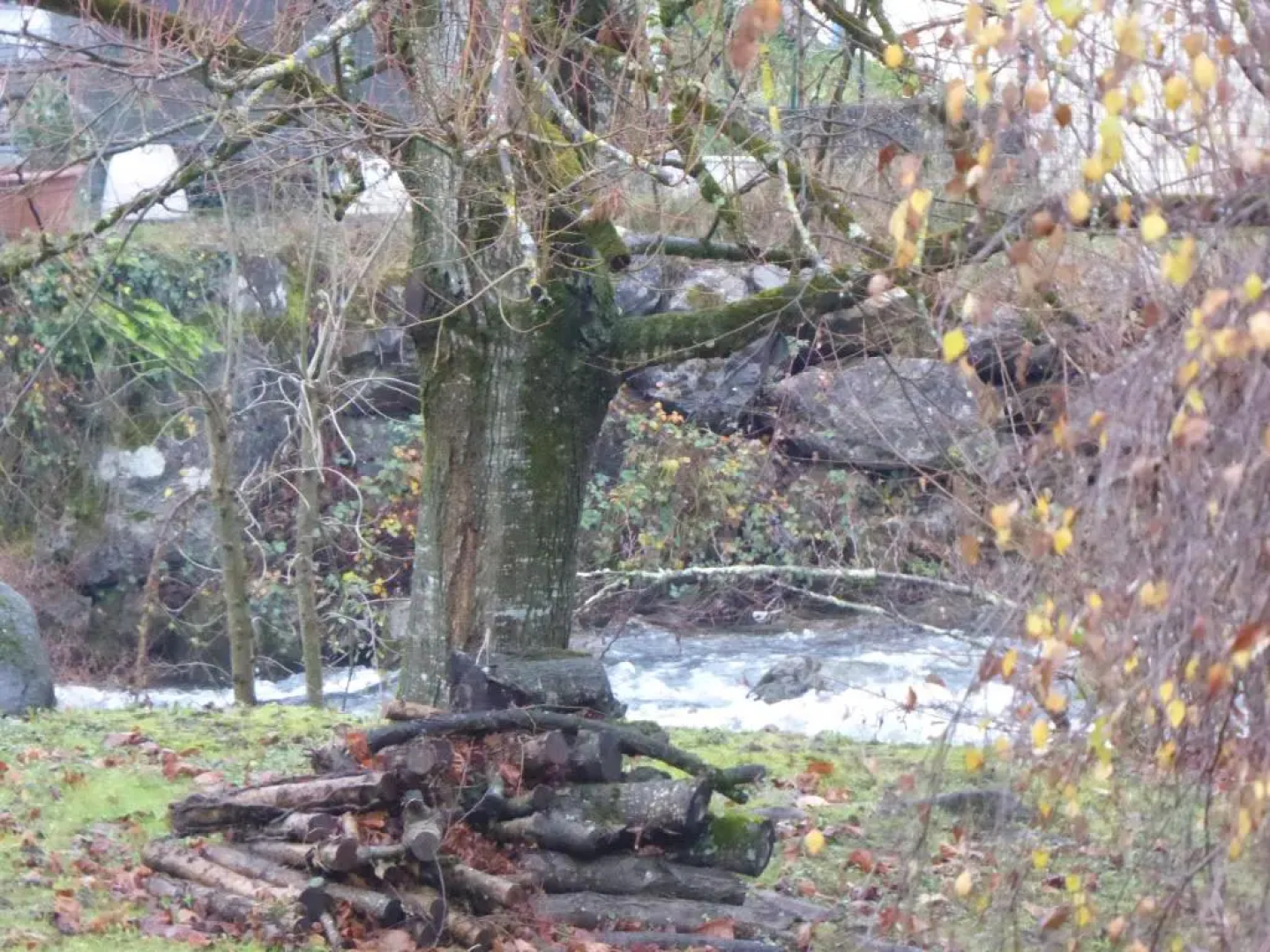 Les Berges Du Gave D'azun