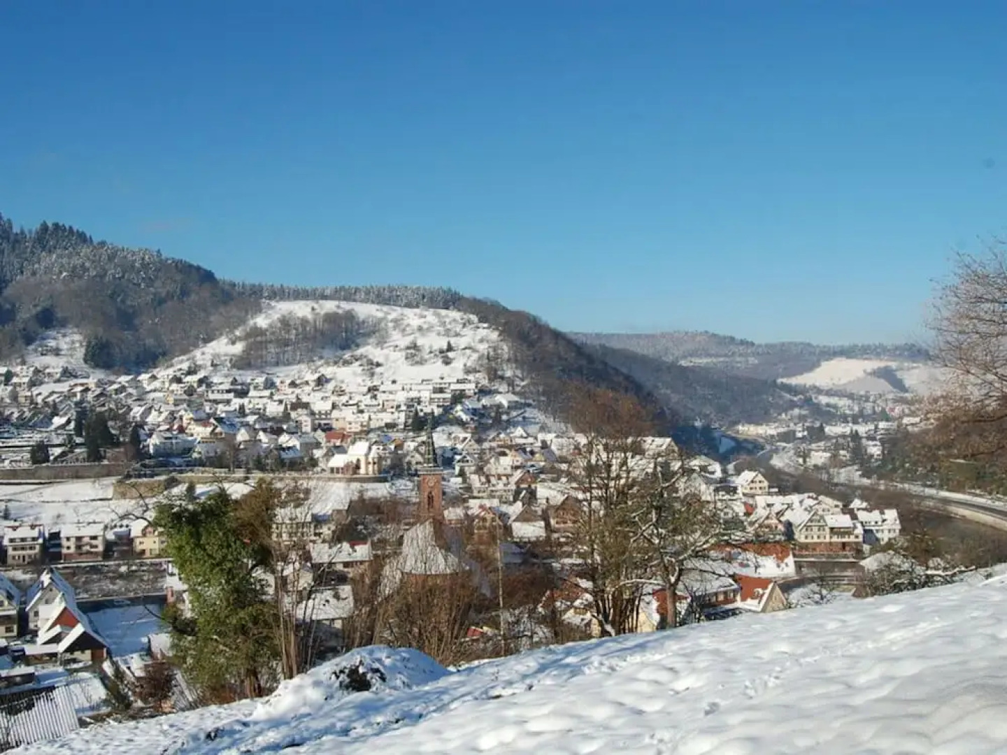 Holiday Apartment Holidays in the Forest