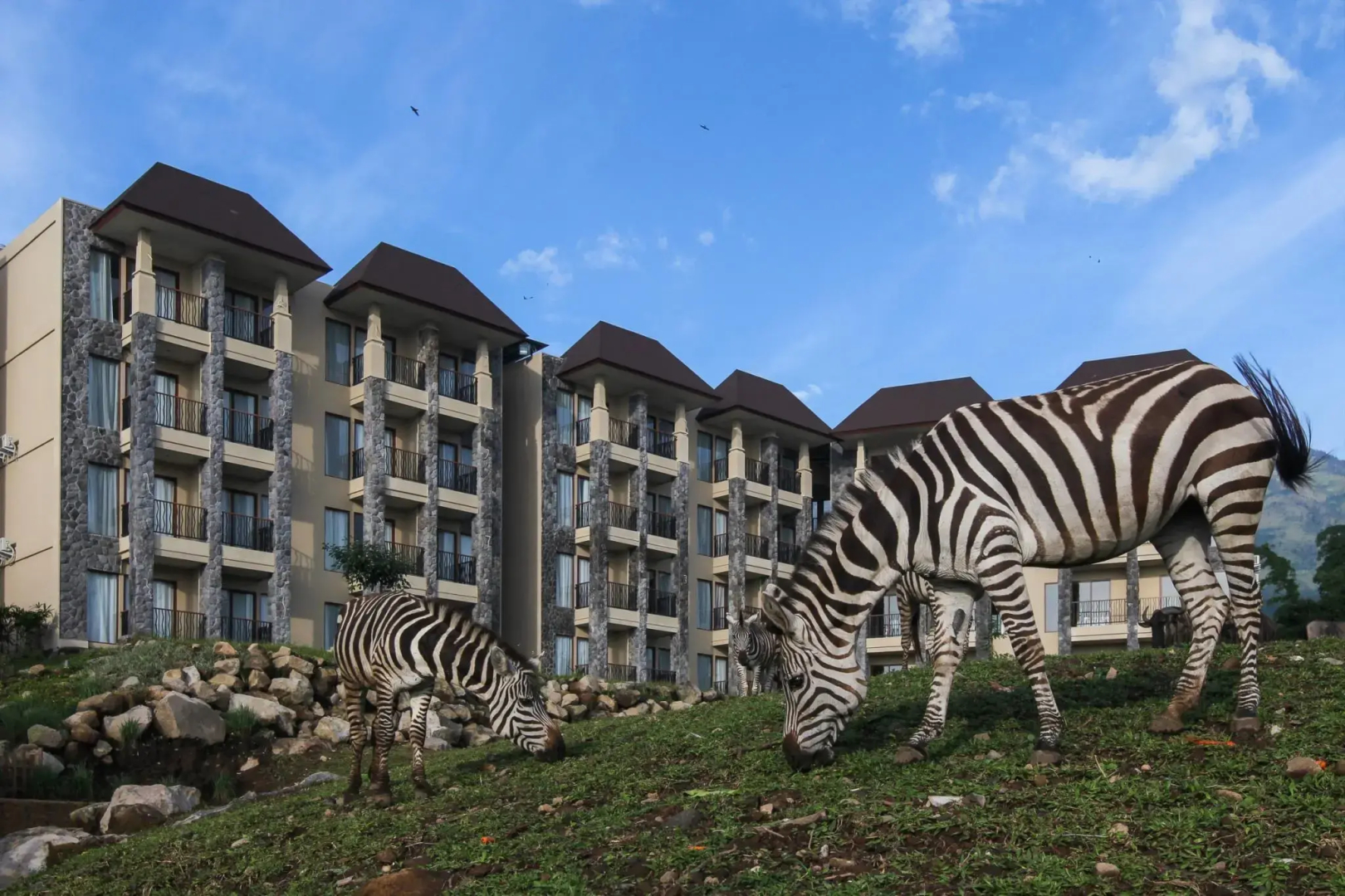 Baobab Safari Resort