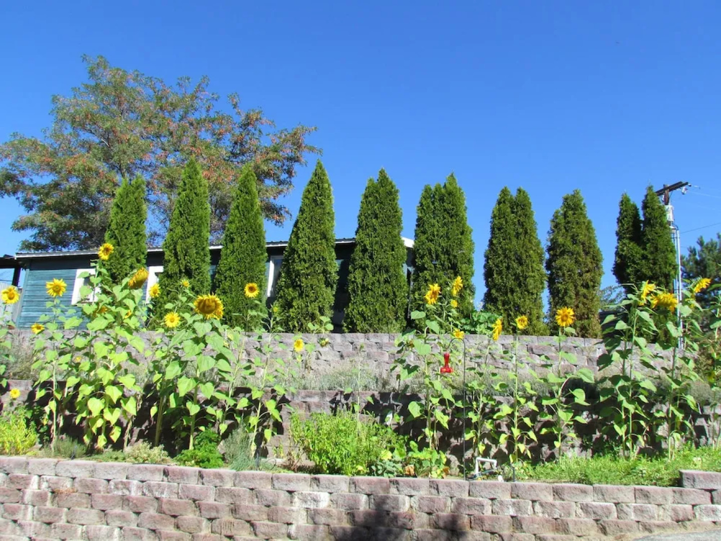 Warm Springs Inn & Winery