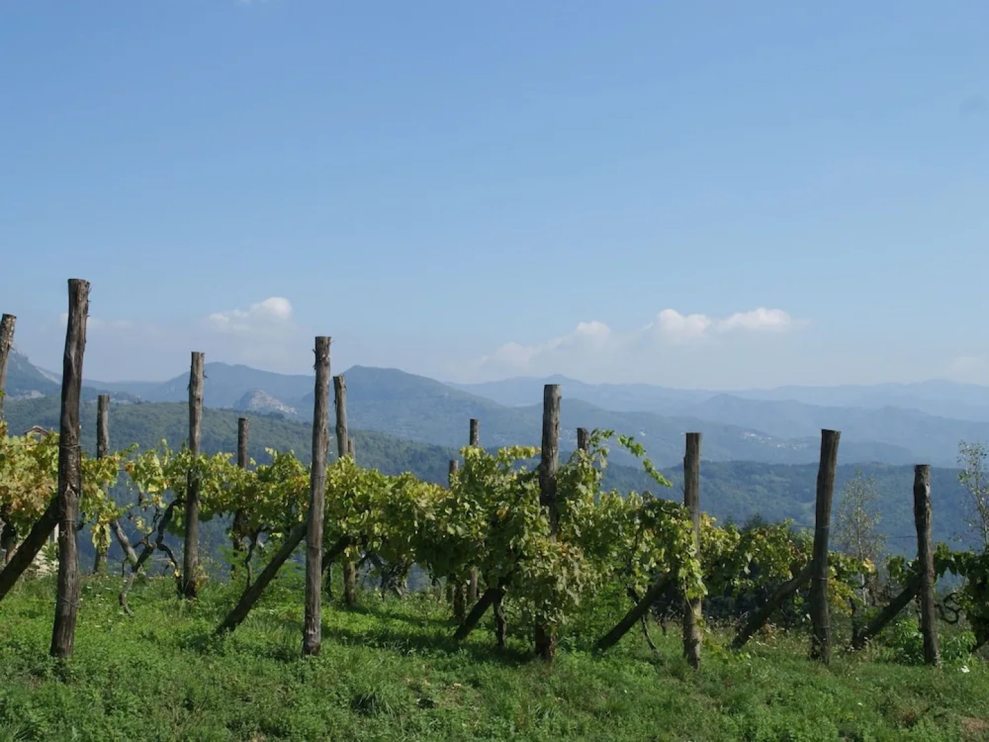 Scenic Home in Camporgiano With Swimming Pool