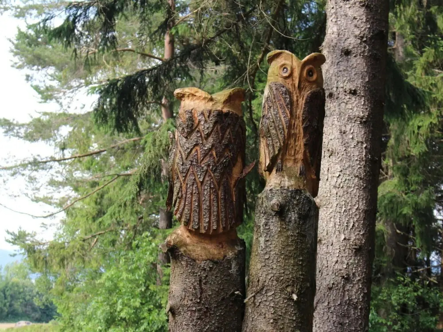 Pleasant Holiday Home in Bischofsreut near Forest