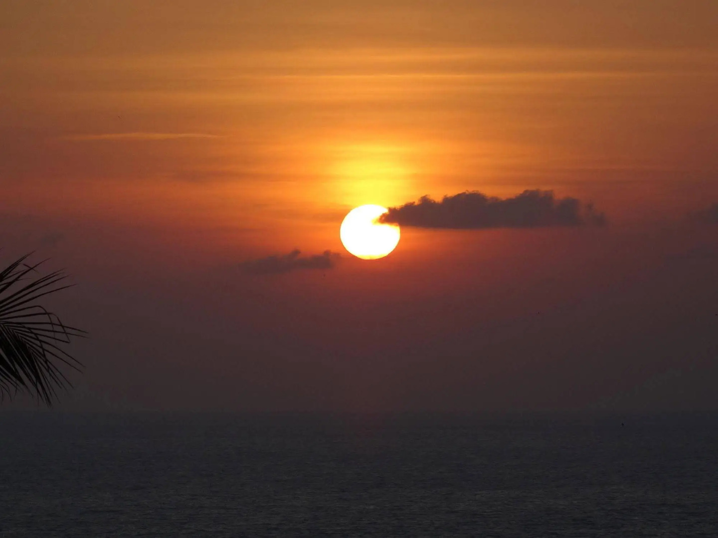 Koh Phangan Pavilions