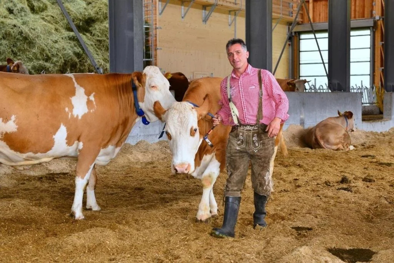 Seeappartements Presseggersee-Süd