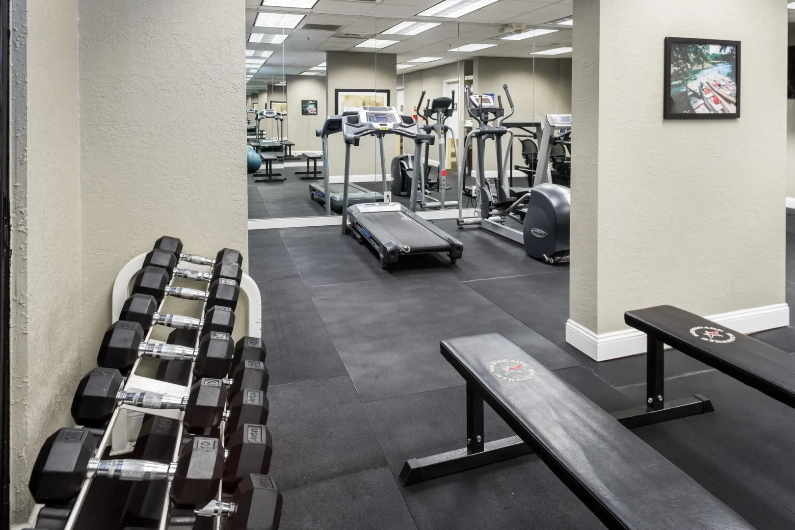 Stayable Select Gainesville