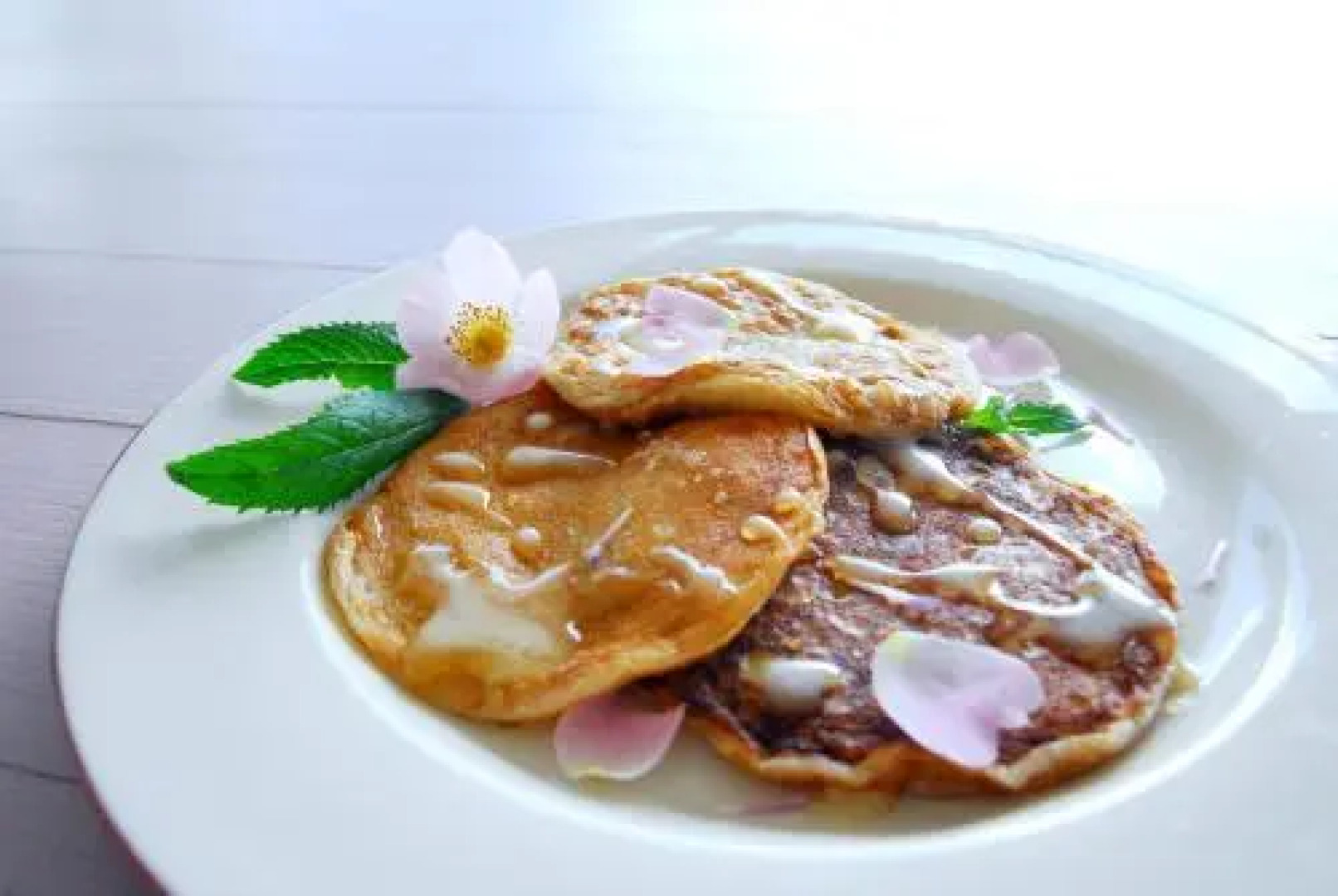 Maison Blanche Ecohouse