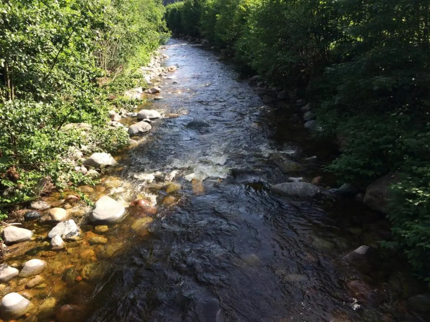 Gästehaus Adler Albtal