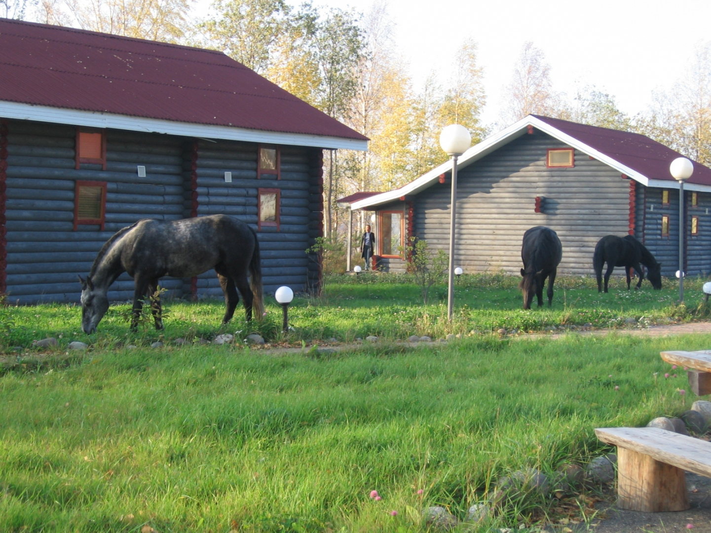 Derevnja Aleksandrovka