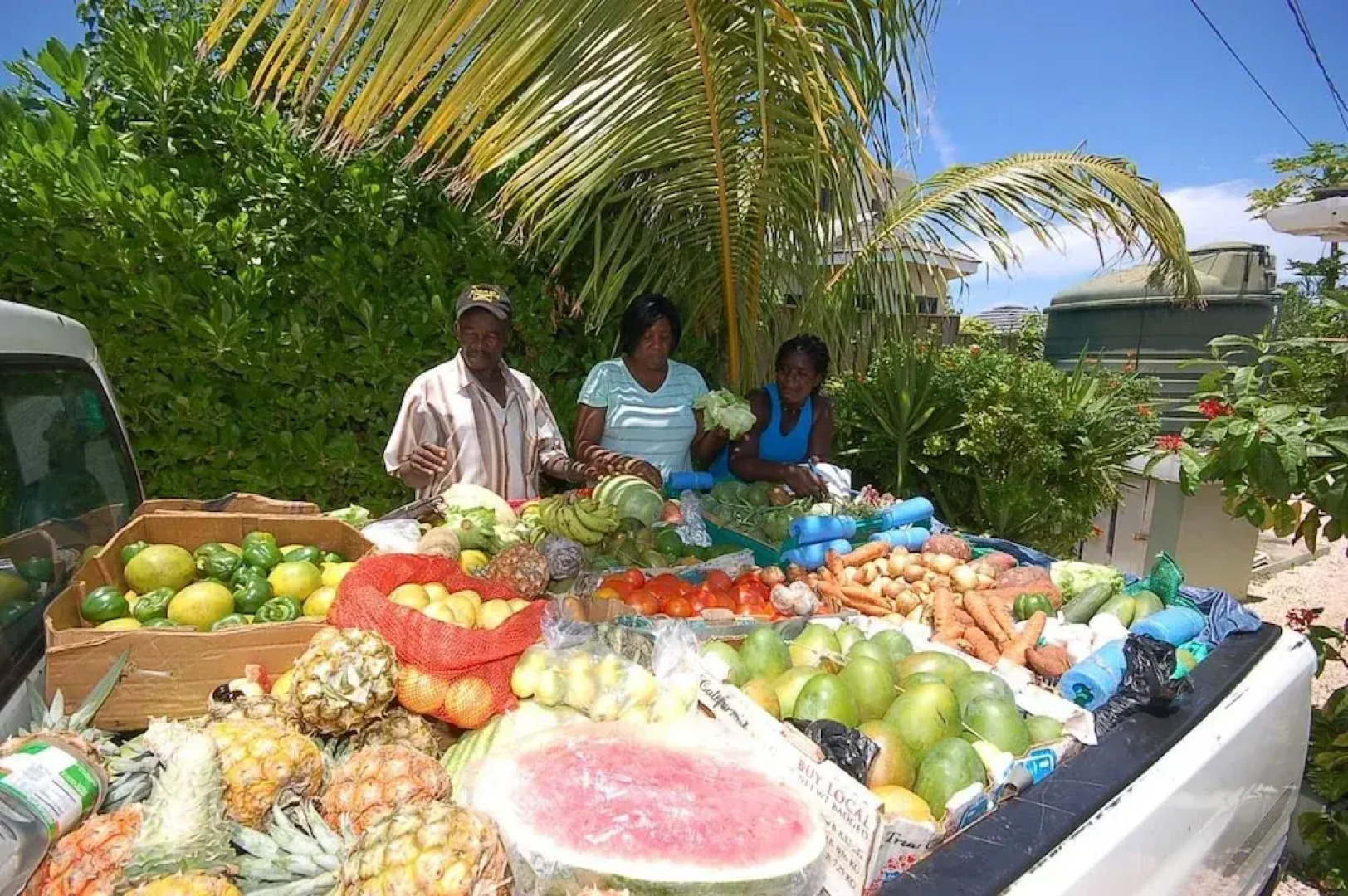 Hang Time, 3BR by Jamaican Treasures