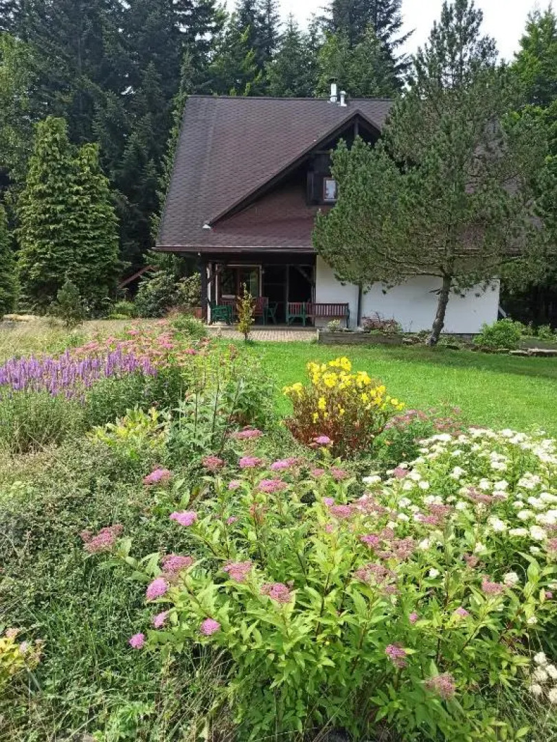 Jałowcówka Centrum Aktywności Psychoruchowej