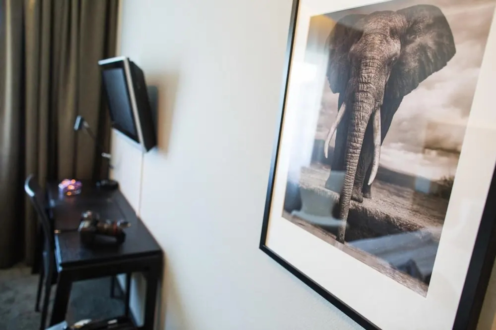 Nova Park Conference