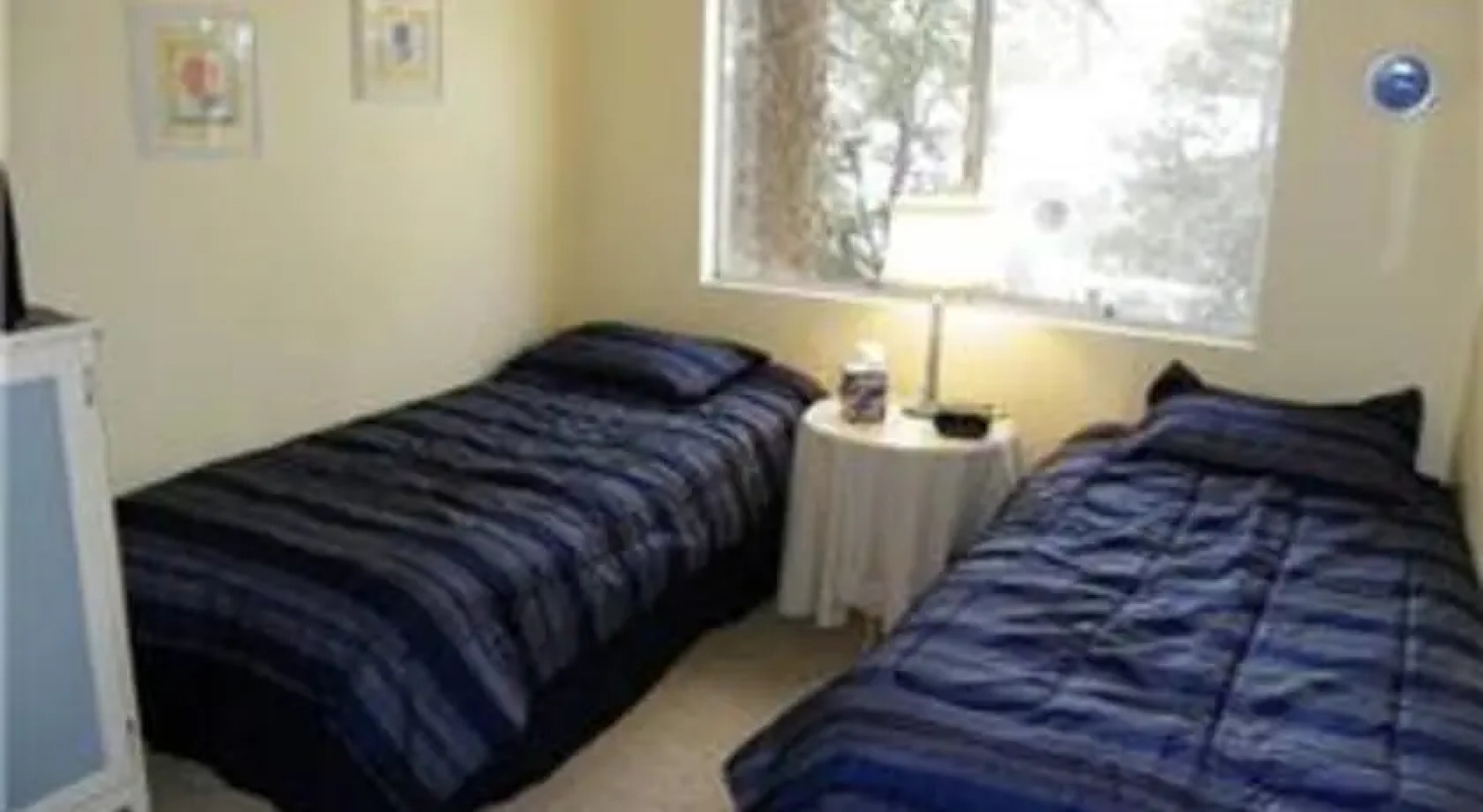 RedAwning Sugar Bear