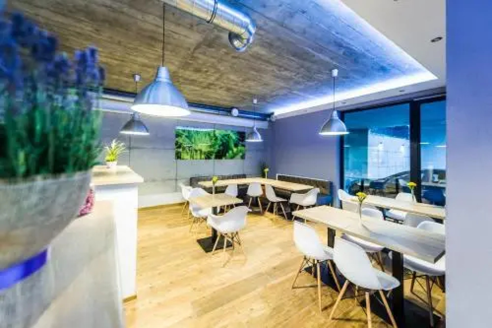 Apartamenty Eskapada