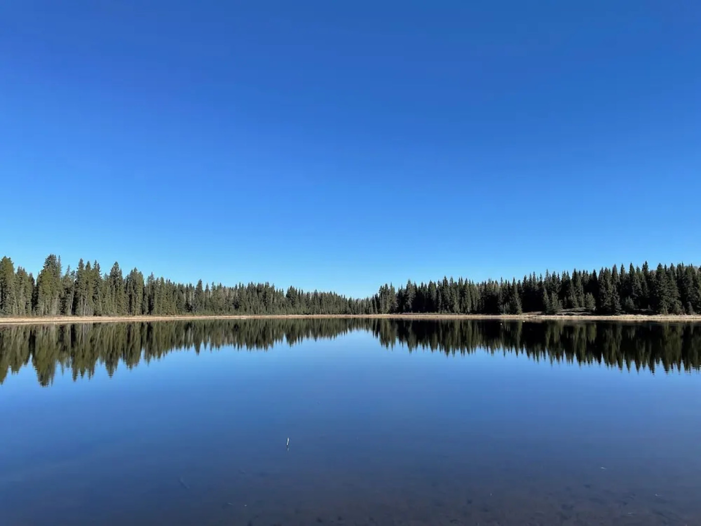 Schott’s Lake Conference & Resort