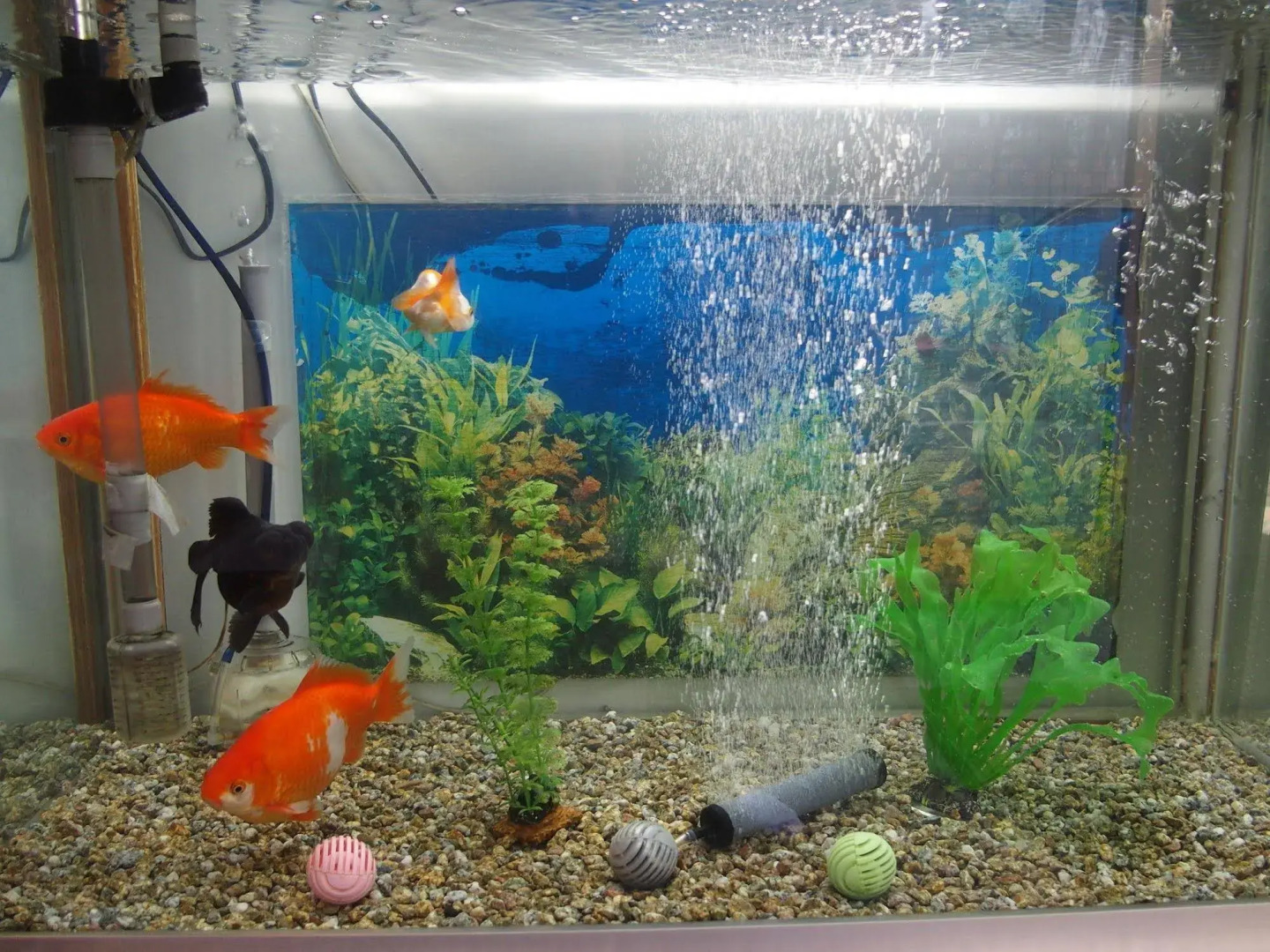 Guest House Misaki-sou