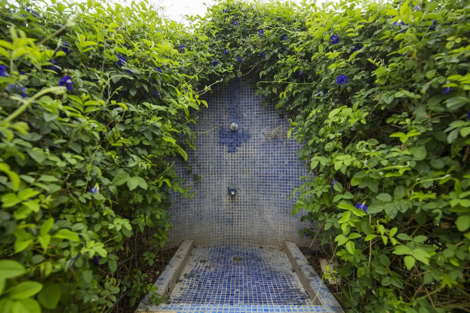 Apartamentos Playa Potrero