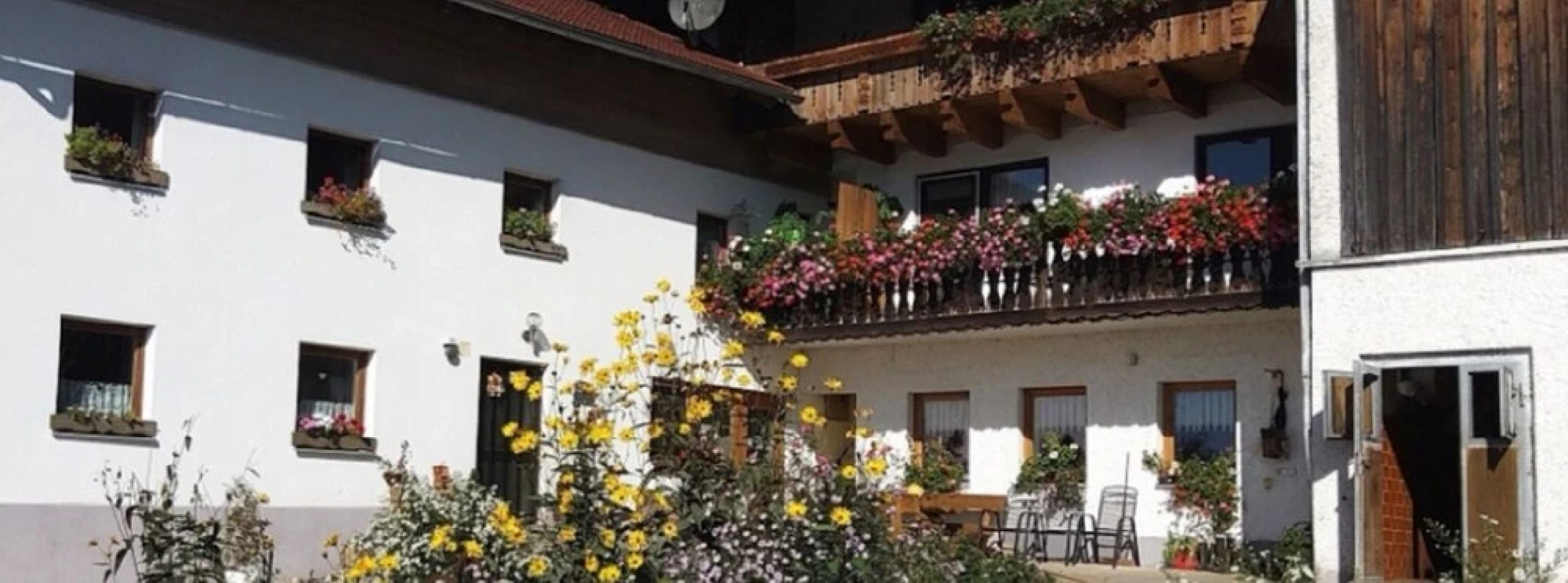 Woferlhof Ferienhof Boxhorn