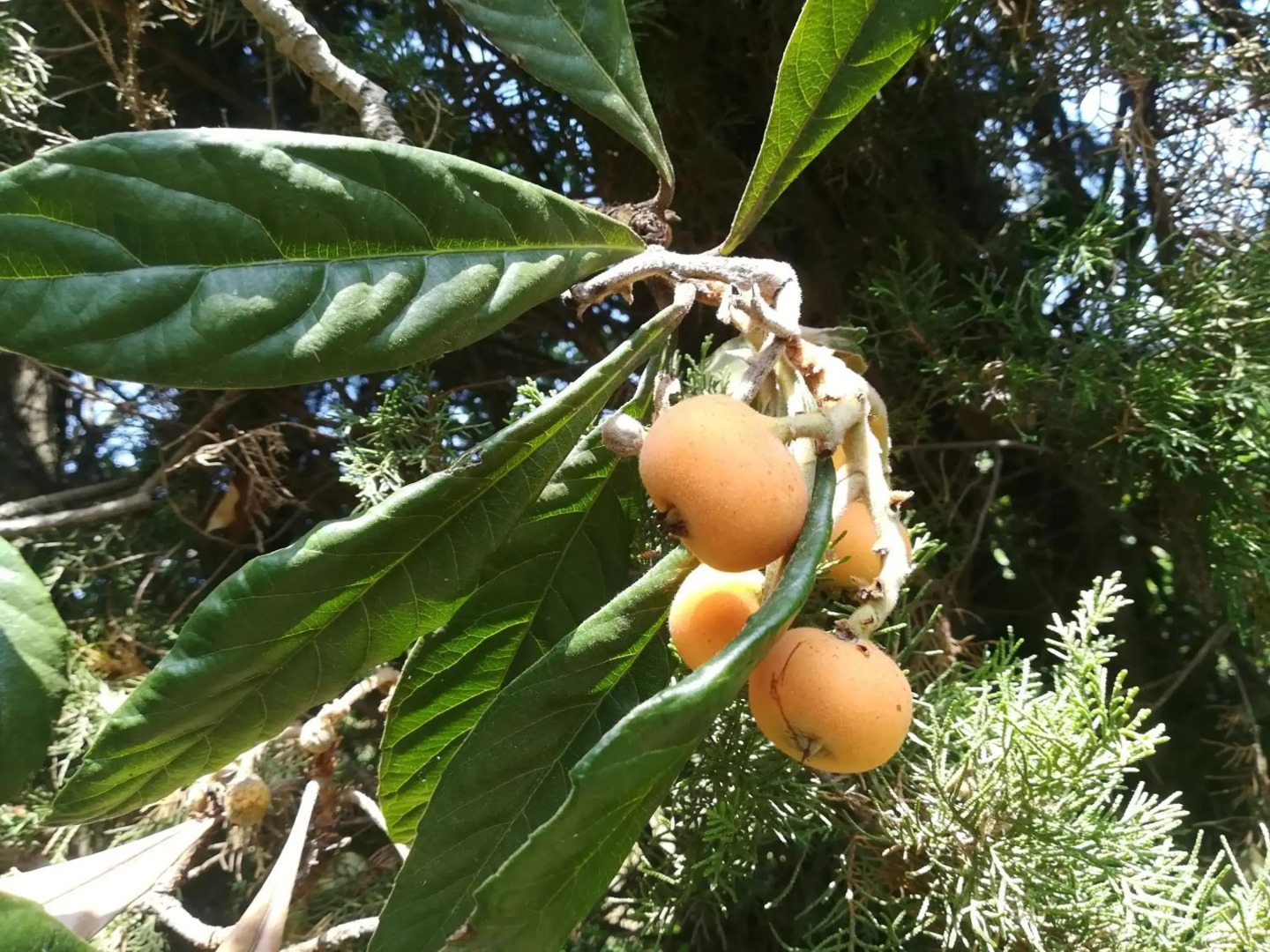 Sweet Apartment With Private Pool Lori Ankaran