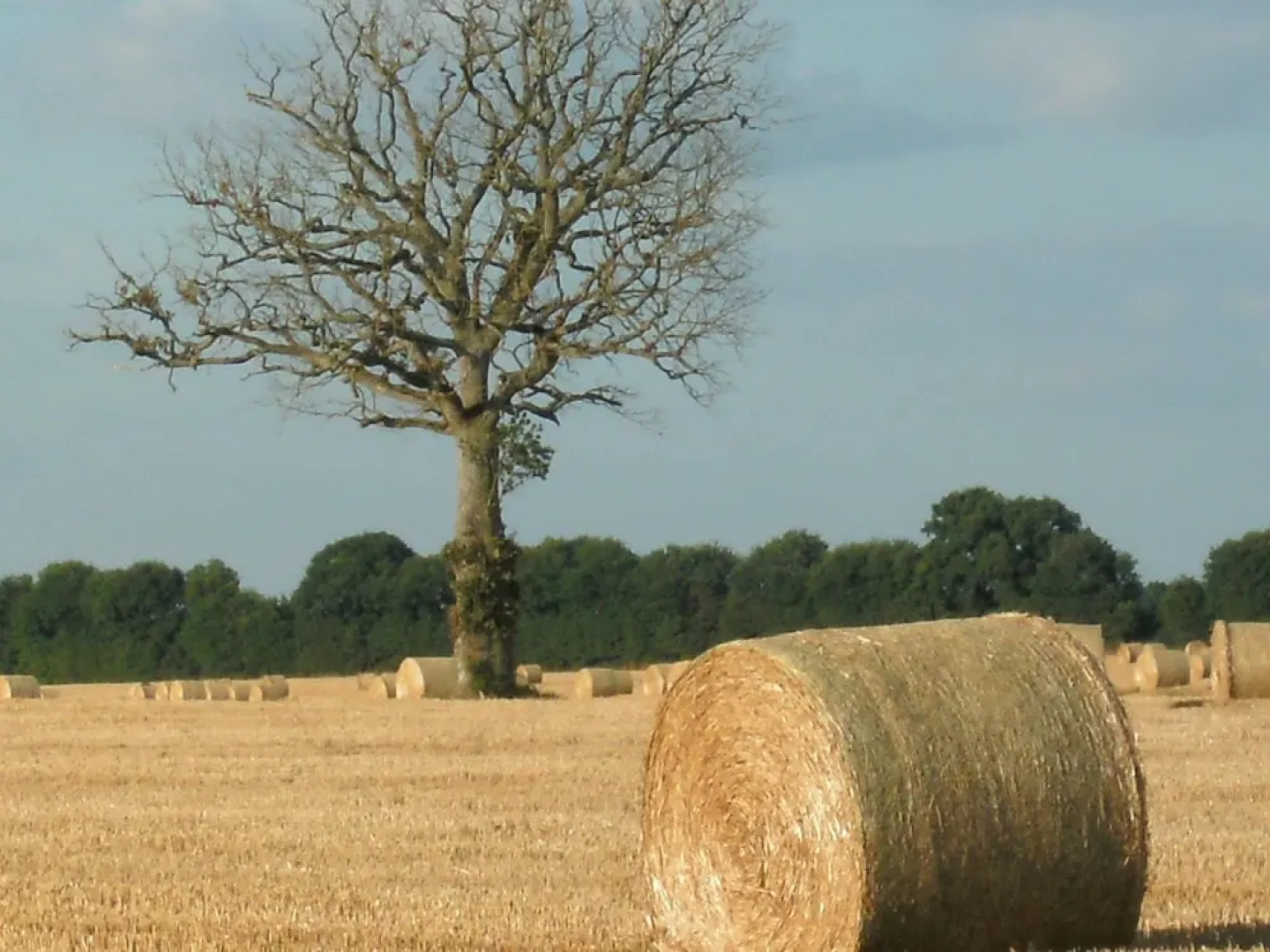 La Bastide de Courcelles