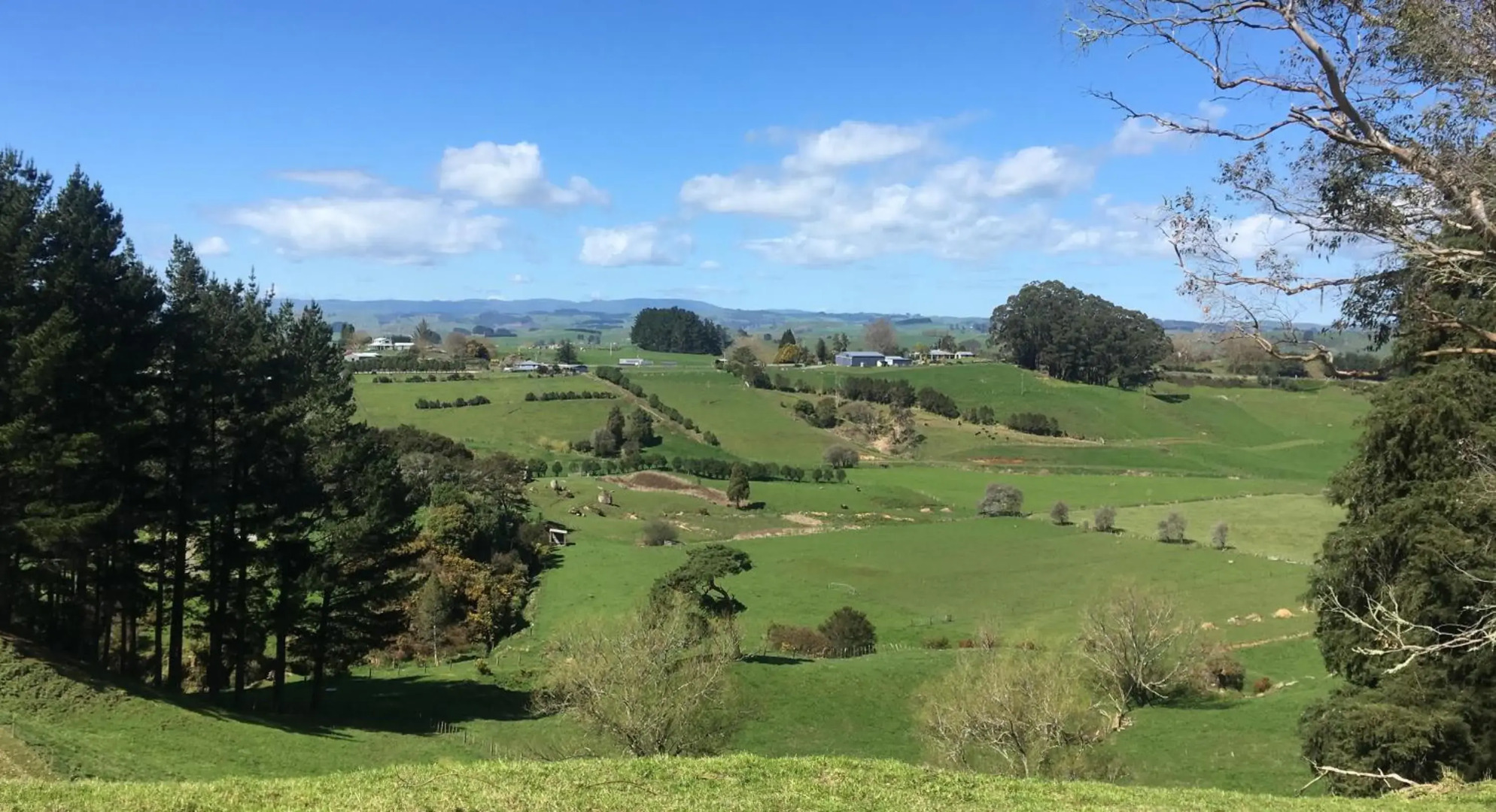 Waitomo Golf Ridge