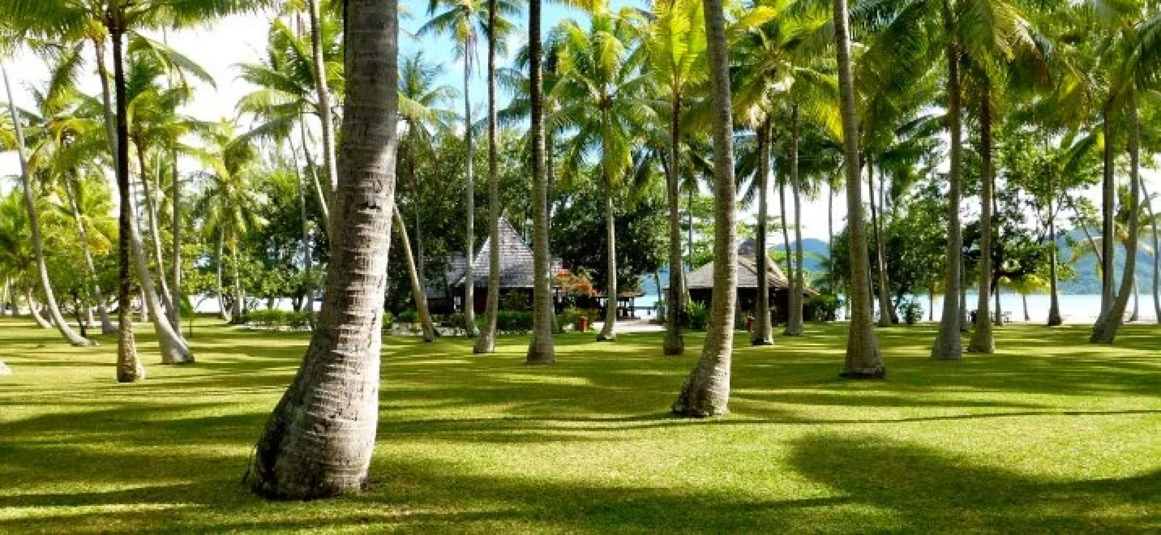 Vahine Island Resort