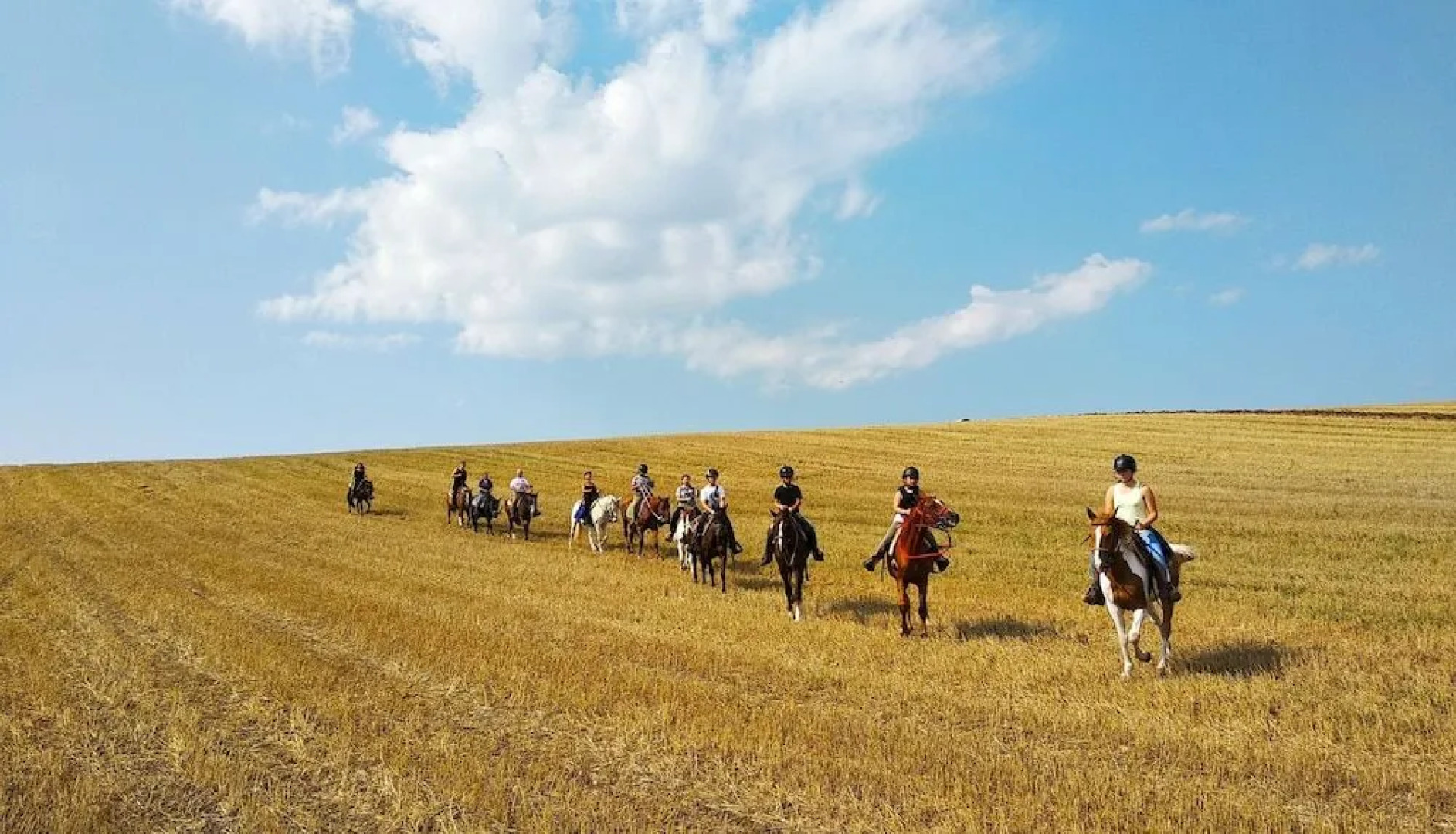 La Valle dei Cavalli