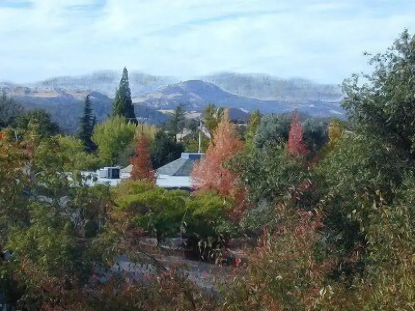 Robins Nest Bed & Breakfast