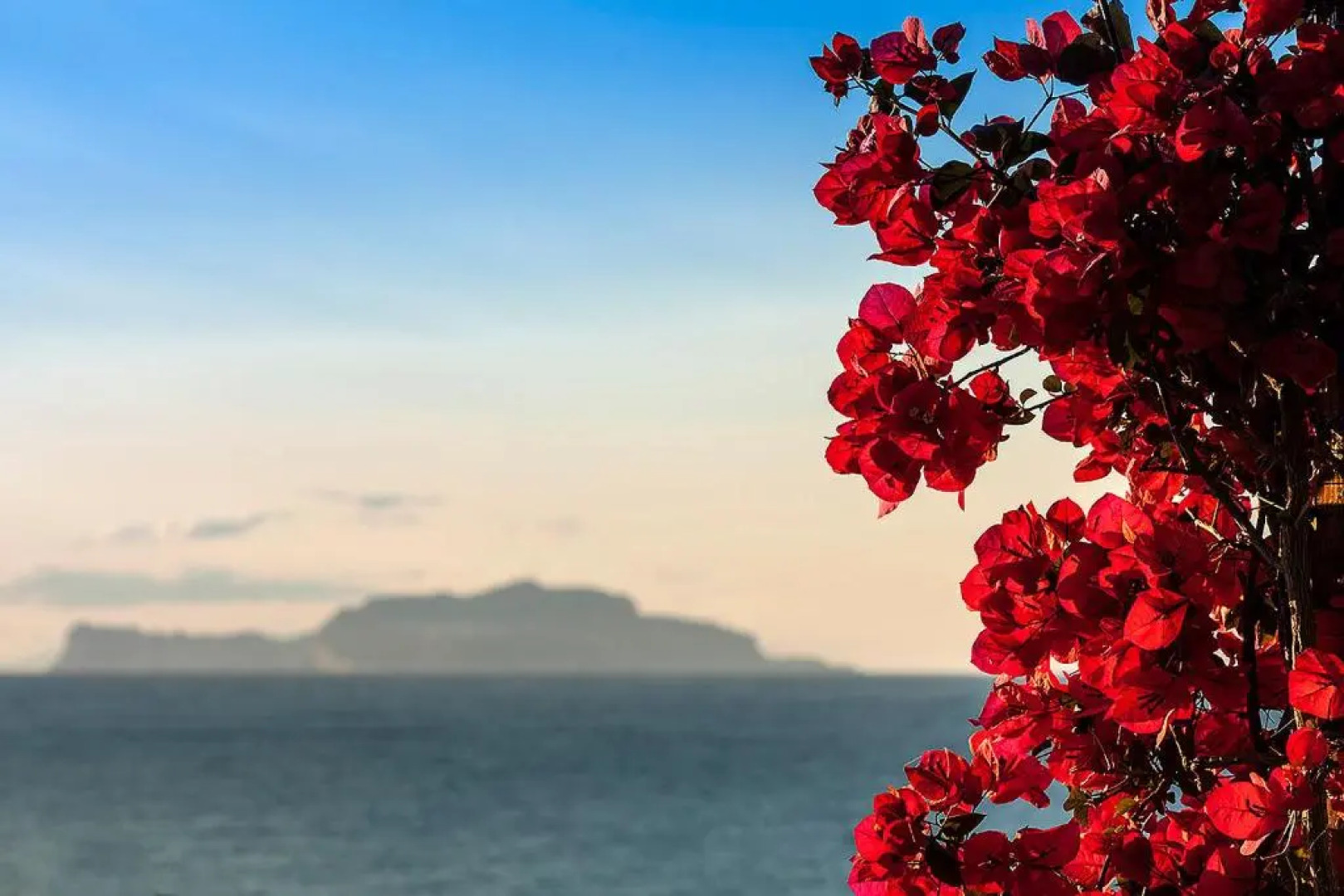 La Villa Resort  Spa