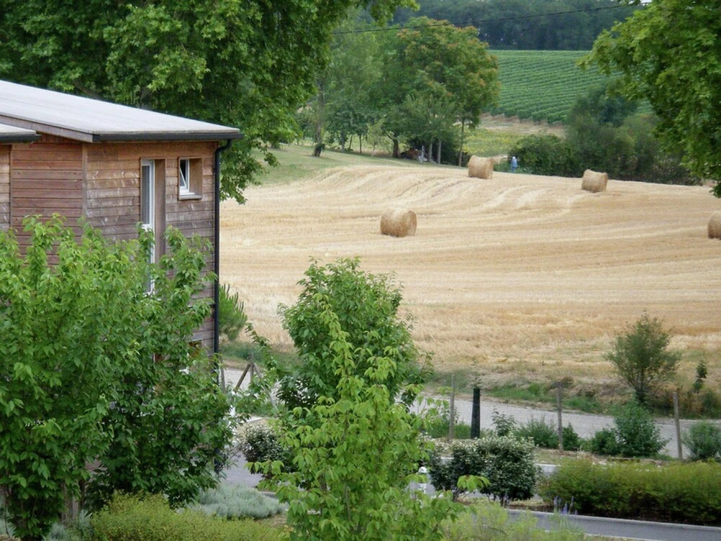 Nice Apartment With a Bbq, Near Montréal du Gers