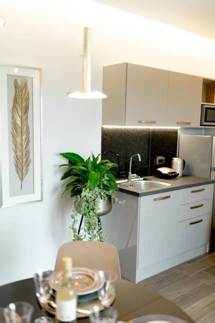 Frunze Luxury Apartments