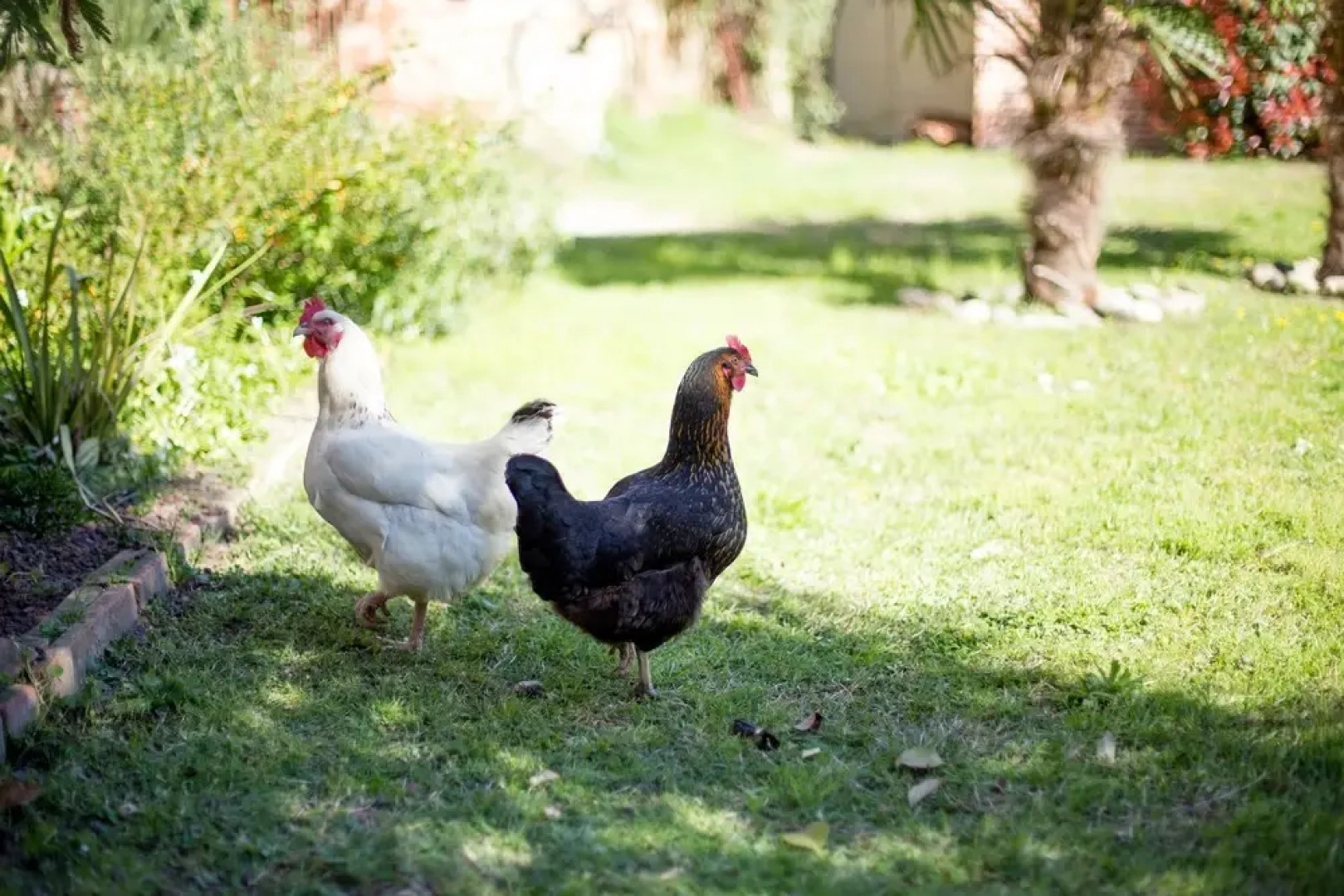 Gîtes de la Croix Blanche