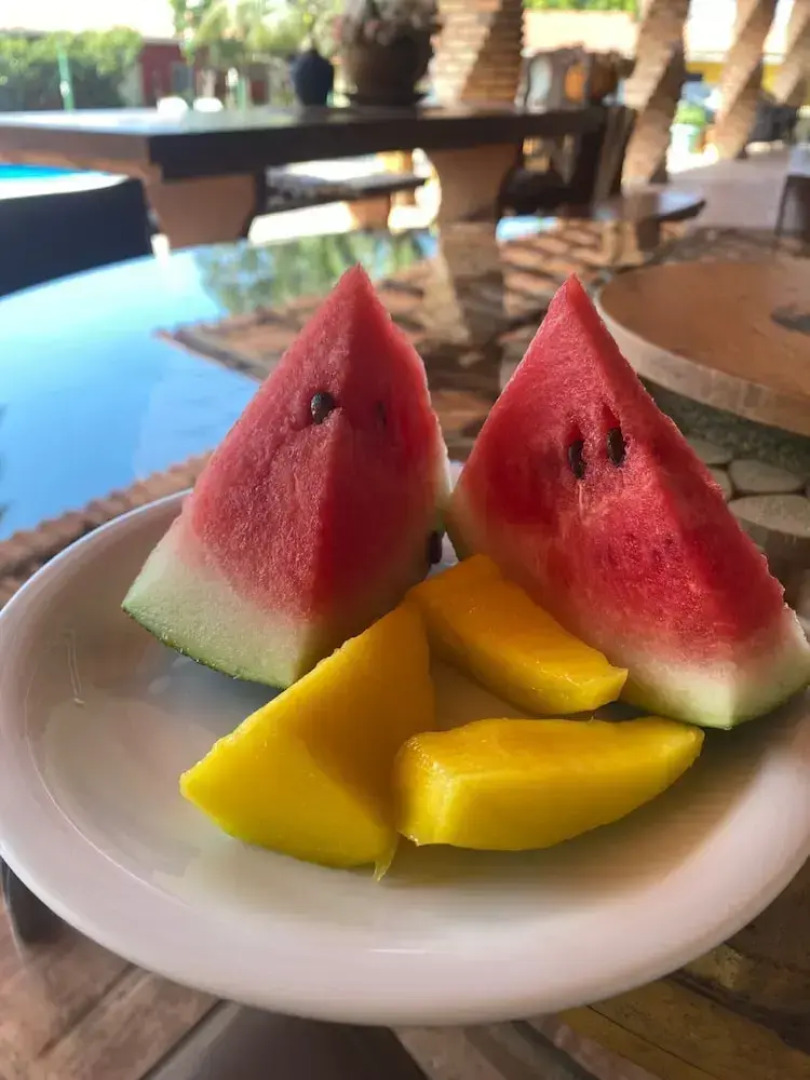 Pousada Paraíso dos Guarás