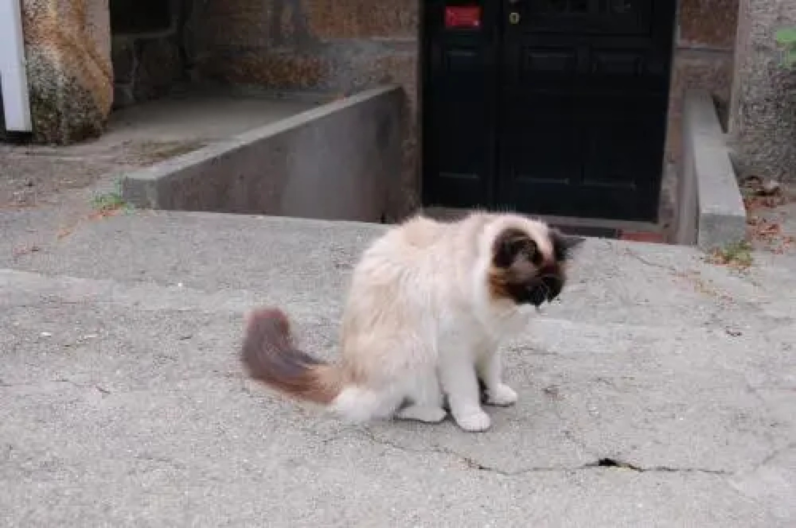 Casa da Quinta De S. Martinho