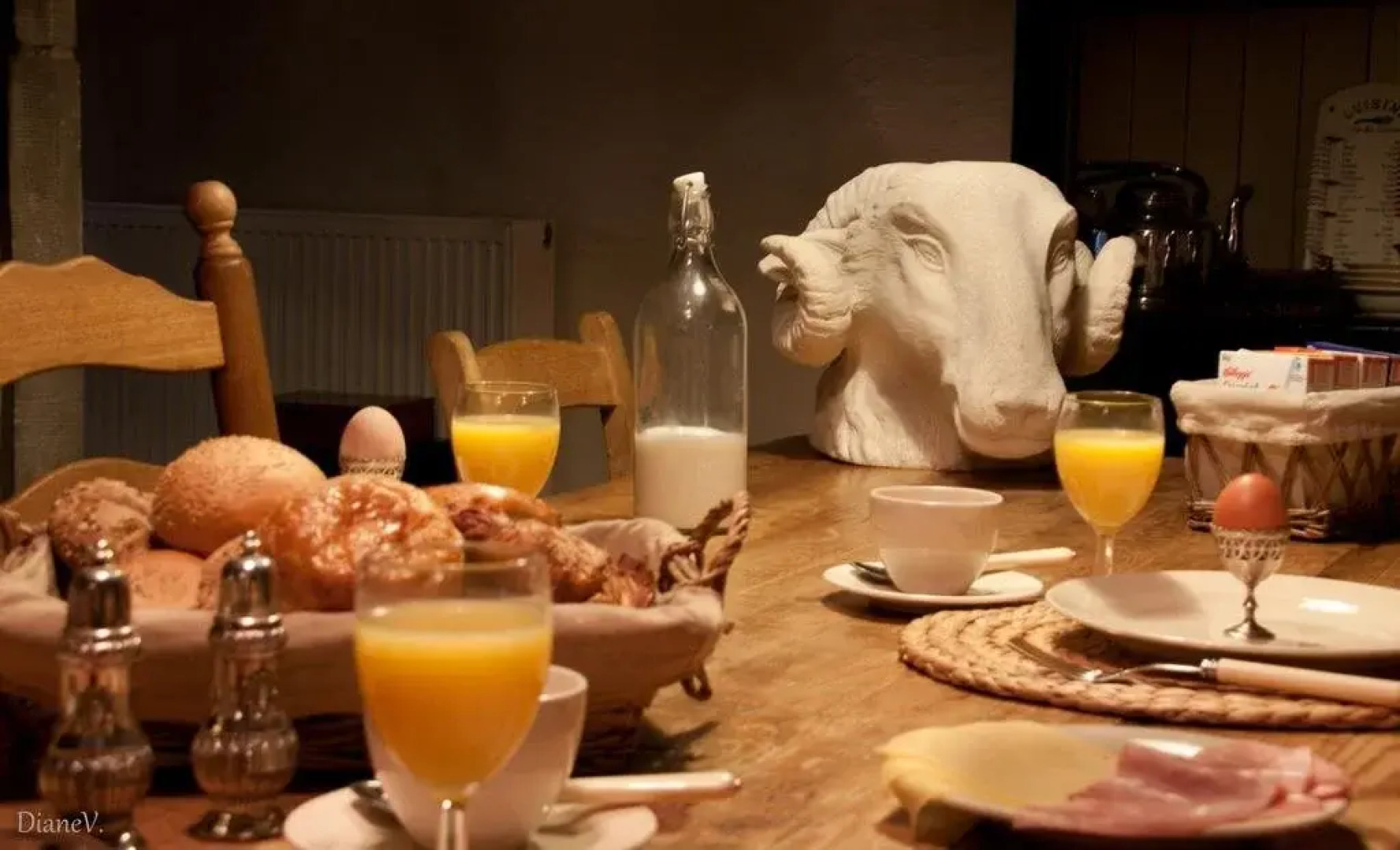 Gastenlogies Blauwe Schaap