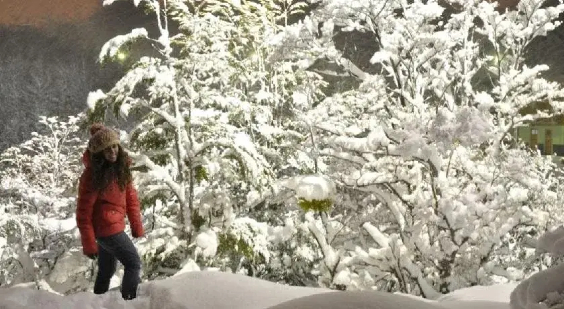 Cabañas Las Aguilas