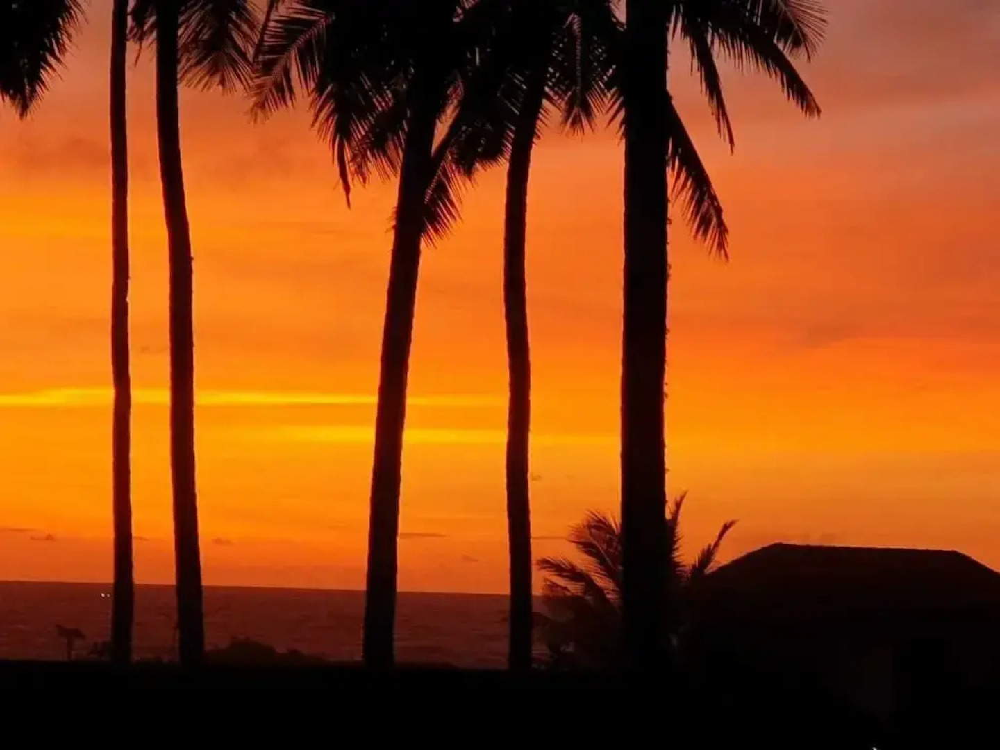 Magnolia Guest House