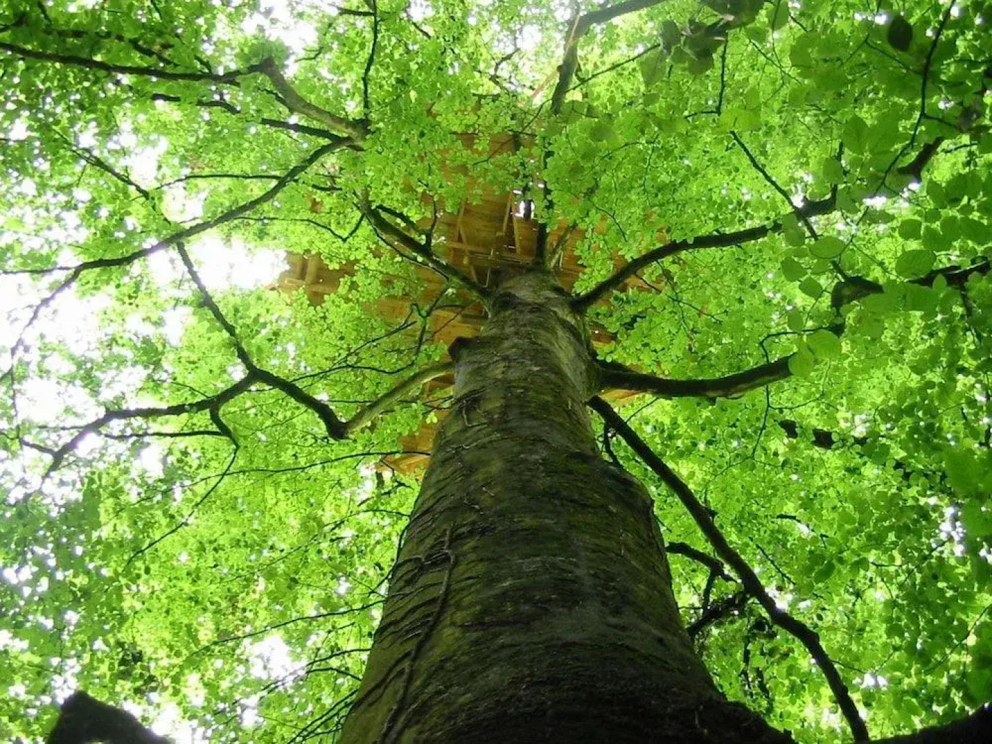 Cabanes de la Grande Noe