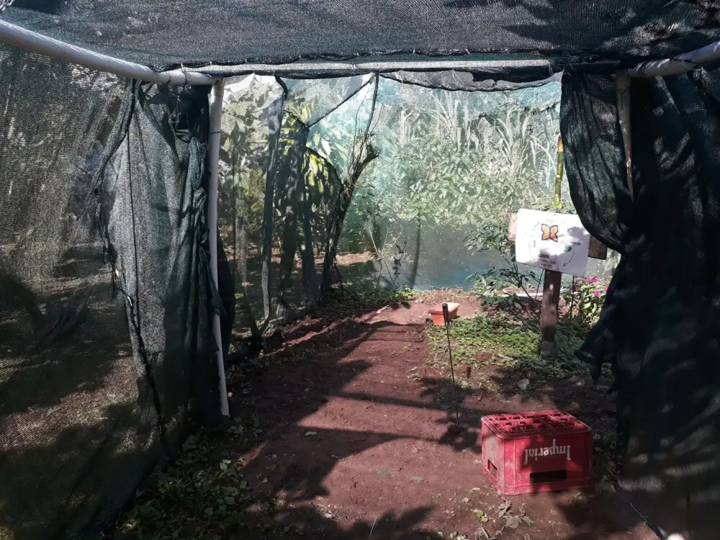 Rio Celeste Family Lodge