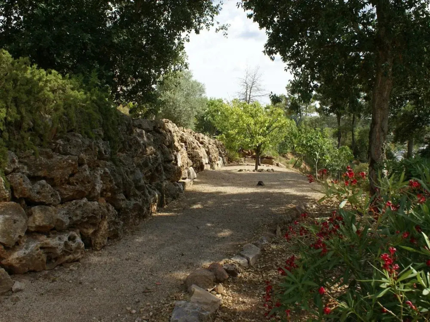 Beautiful Villa in Vidauban with Swimming Pool