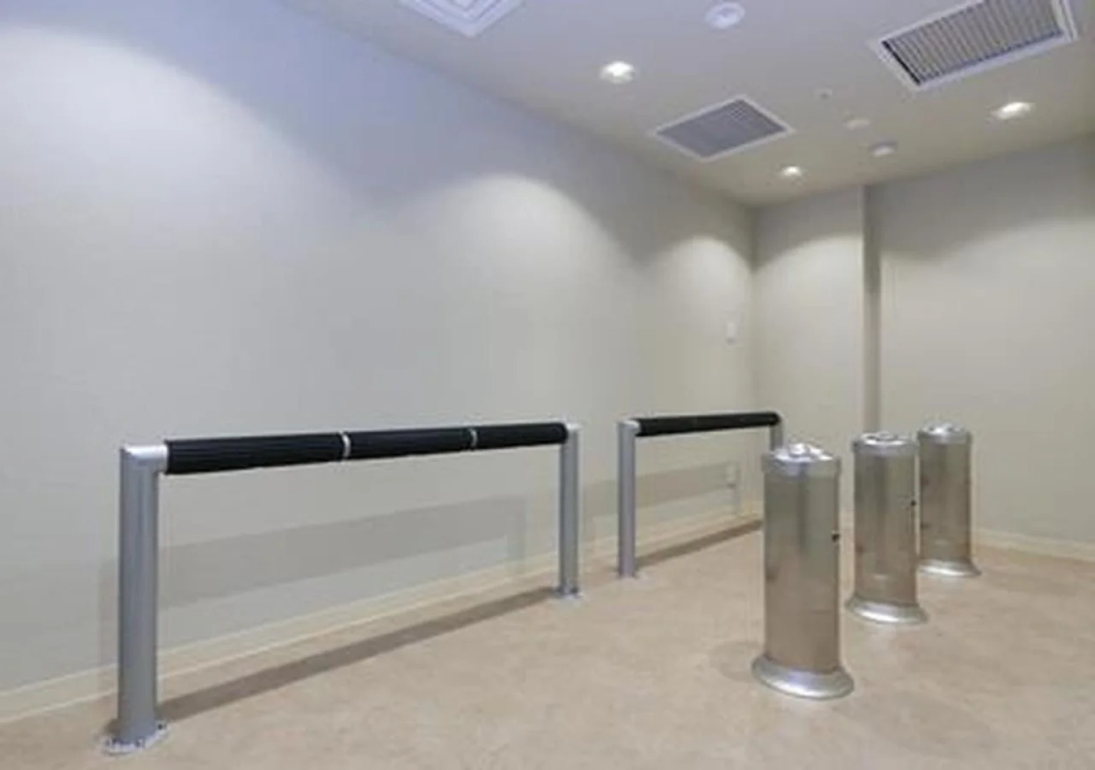 Ginza Capital Hotel Akane