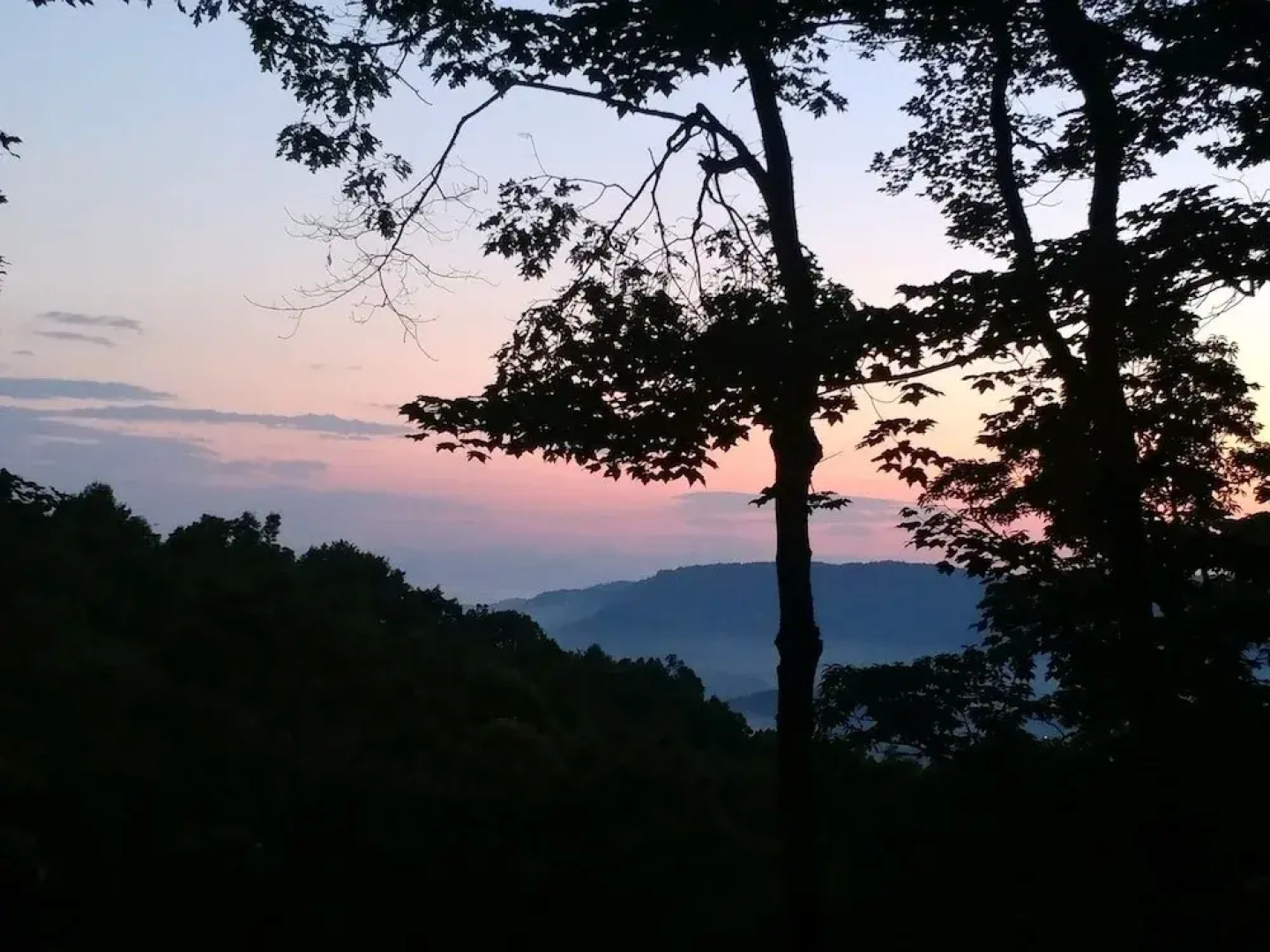 2637 Pisgah Forest - 3 Br Home